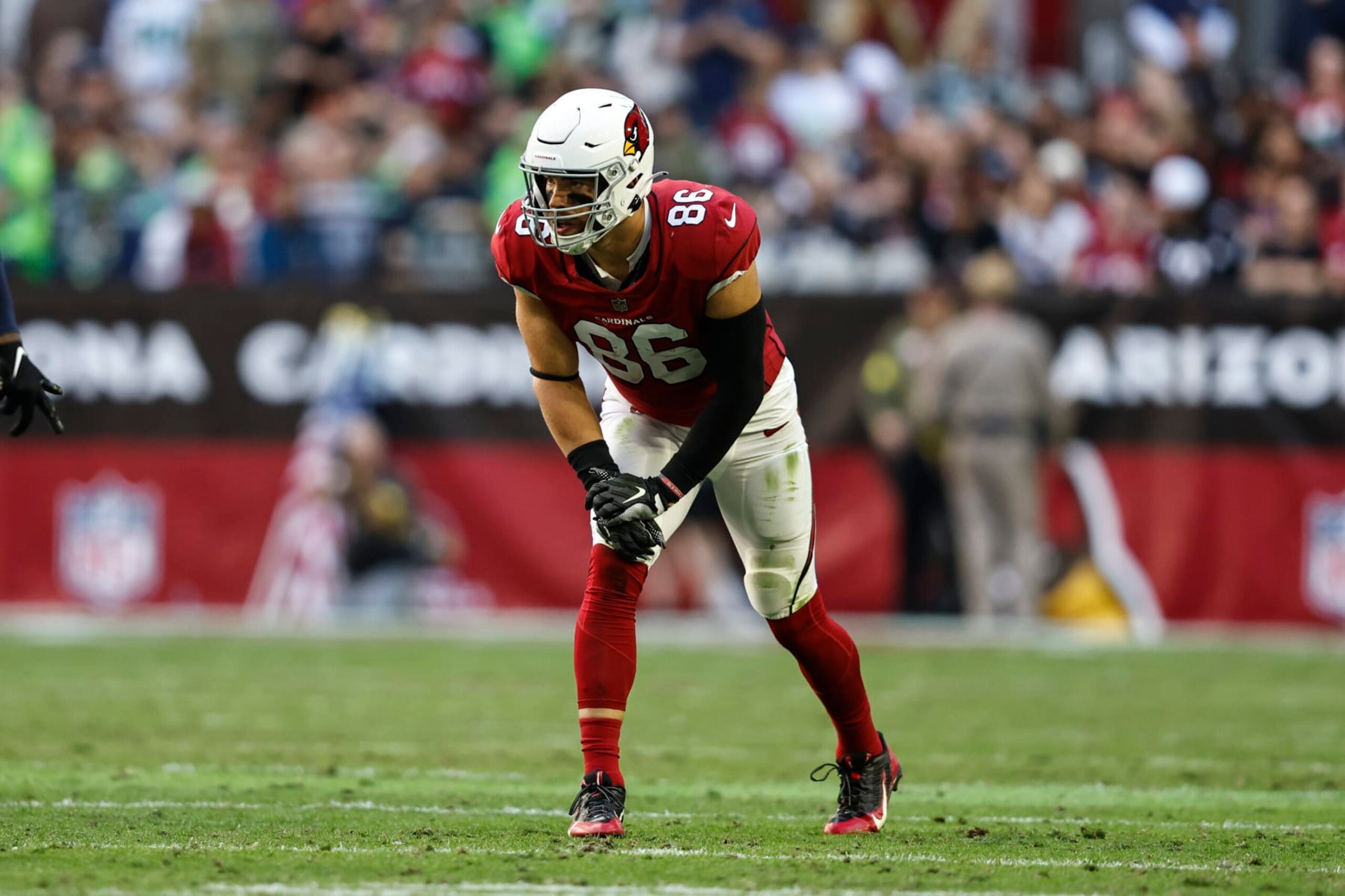 GLENDALE, ARIZONA - NOVEMBER 06: Zach Ertz #86 of the Arizona Cardinals lines up during an NFL Football game between the Arizona Cardinals and the Seattle Seahawks at State Farm Stadium on November 06, 2022 in Glendale, Arizona. (Photo by Michael Owens/Getty Images)