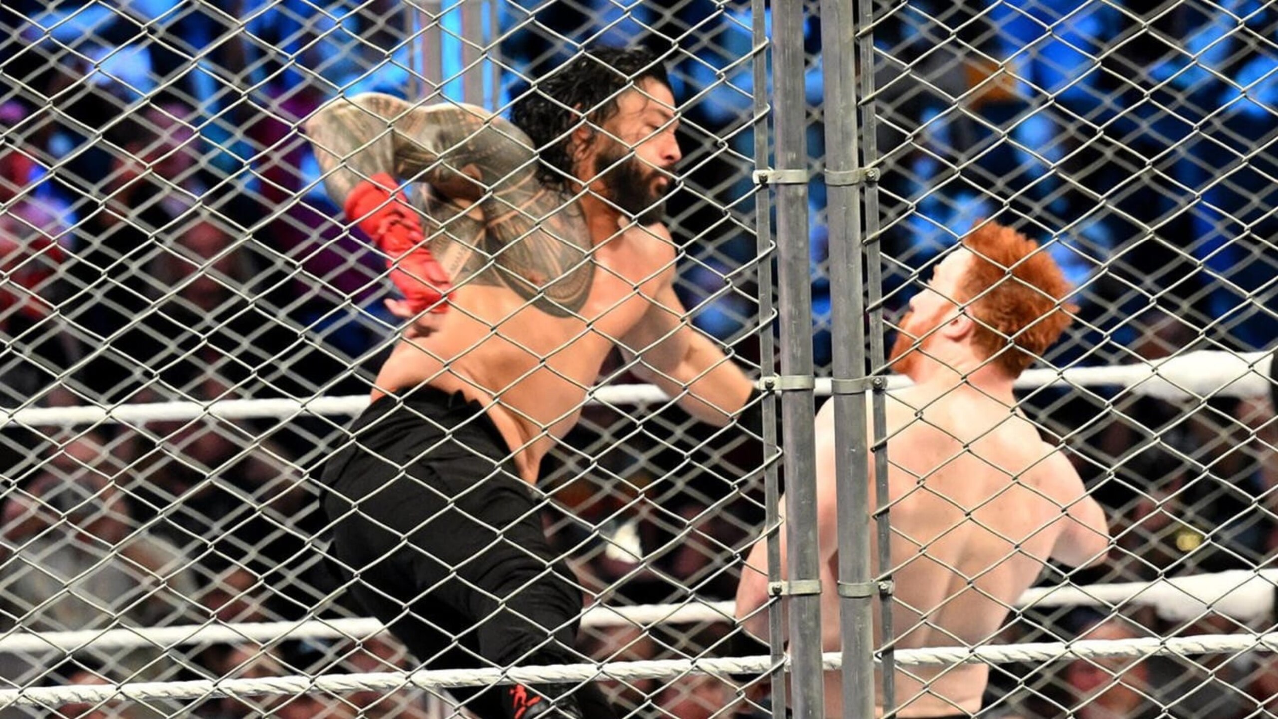 Sheamus should soon set out for revenge on Roman Reigns and the rest of The Bloodline. Sheamus should soon set out for revenge on Roman Reigns and the rest of The Bloodline.