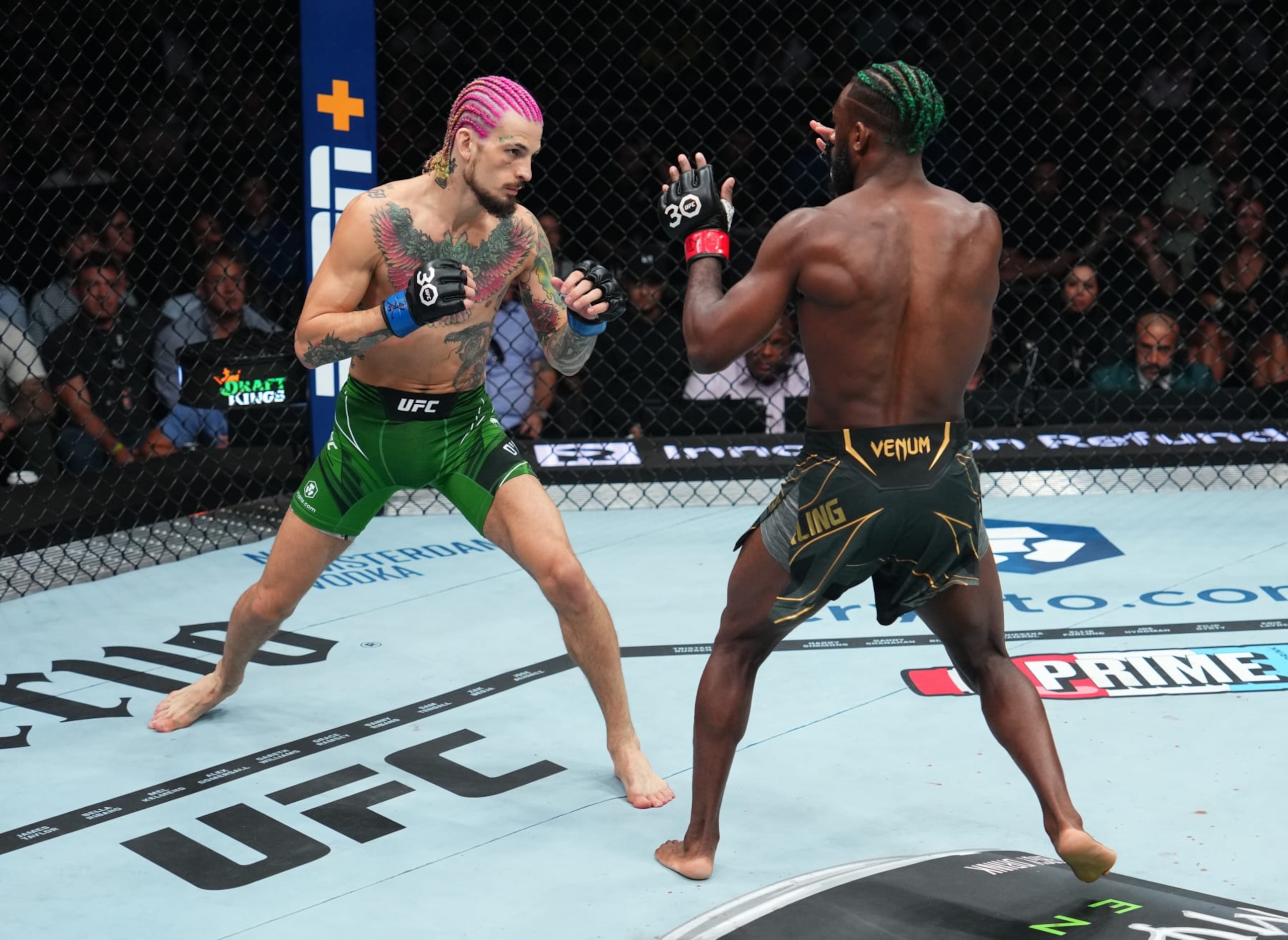 BOSTON, MASSACHUSETTS - AUGUST 19: (L-R) Sean O'Malley battles Aljamain Sterling in the UFC bantamweight championship fight during the UFC 292 event at TD Garden on August 19, 2023 in Boston, Massachusetts. (Photo by Cooper Neill/Zuffa LLC via Getty Images) BOSTON, MASSACHUSETTS - AUGUST 19: (L-R) Sean O'Malley battles Aljamain Sterling in the UFC bantamweight championship fight during the UFC 292 event at TD Garden on August 19, 2023 in Boston, Massachusetts. (Photo by Cooper Neill/Zuffa LLC via Getty Images)