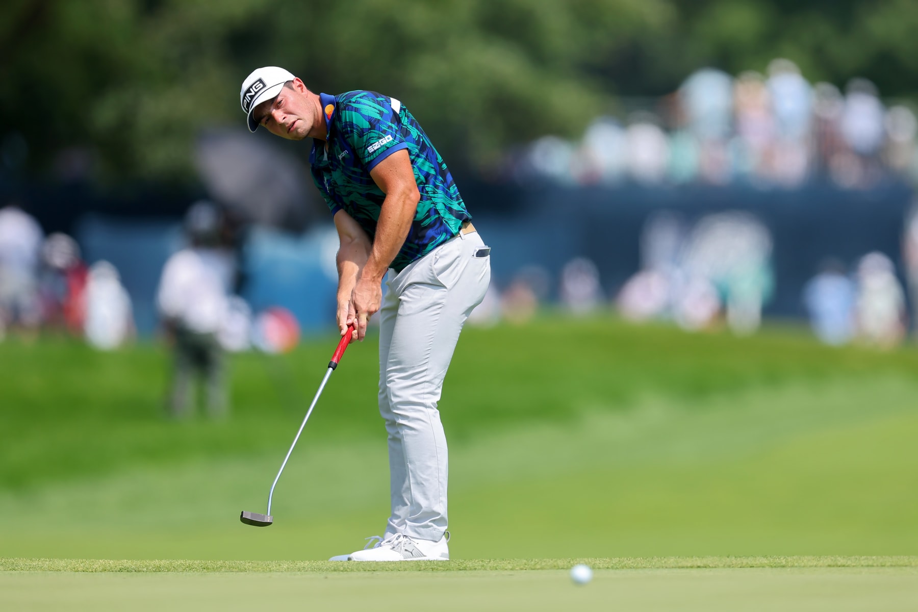 OLYMPIA FIELDS, ILLINOIS - AUGUST 20: Viktor Hovland of Norway putts on the seventh green during the final round of the BMW Championship at Olympia Fields Country Club on August 20, 2023 in Olympia Fields, Illinois. (Photo by Michael Reaves/Getty Images)