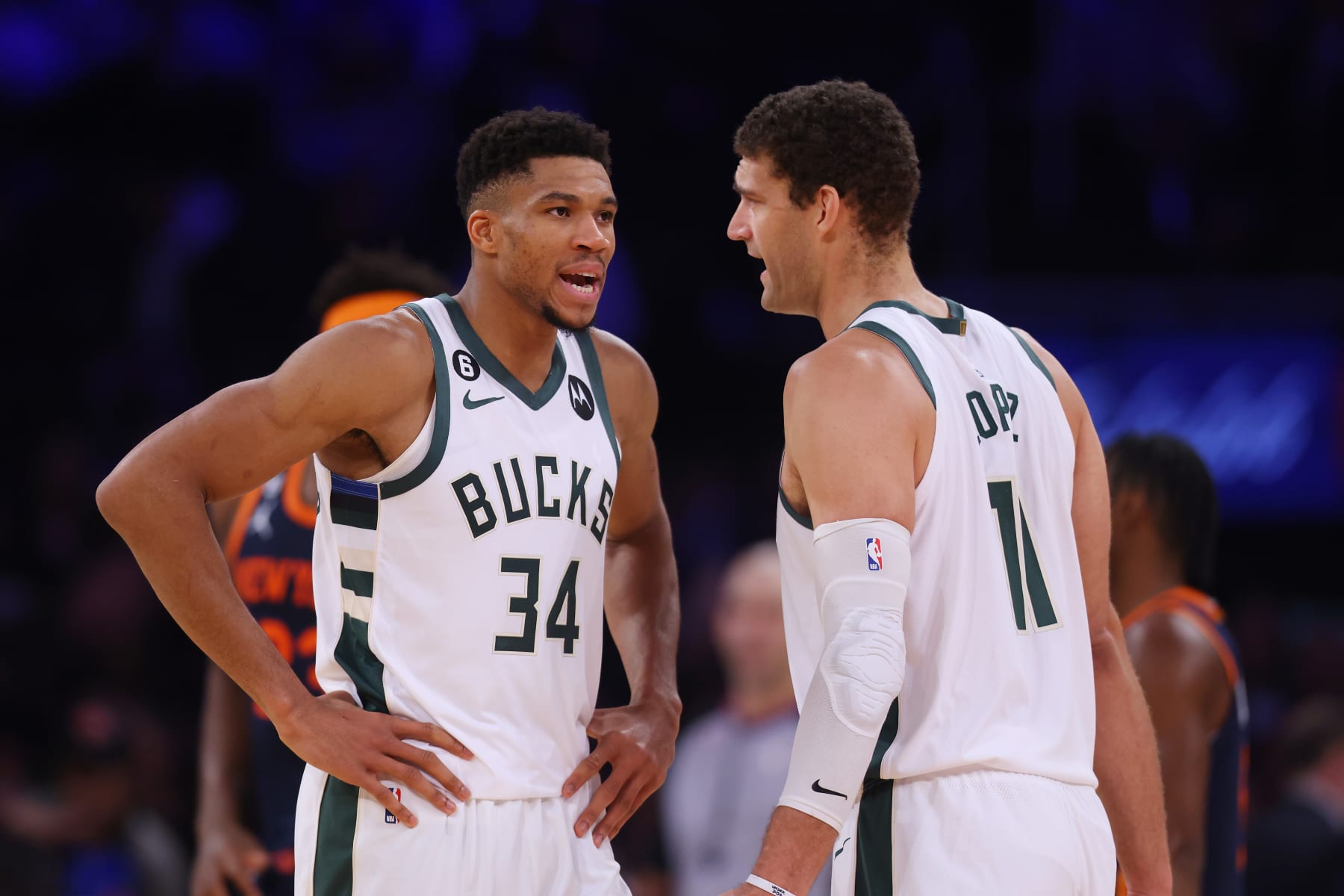 Giannis Antetokounmpo and Brook Lopez