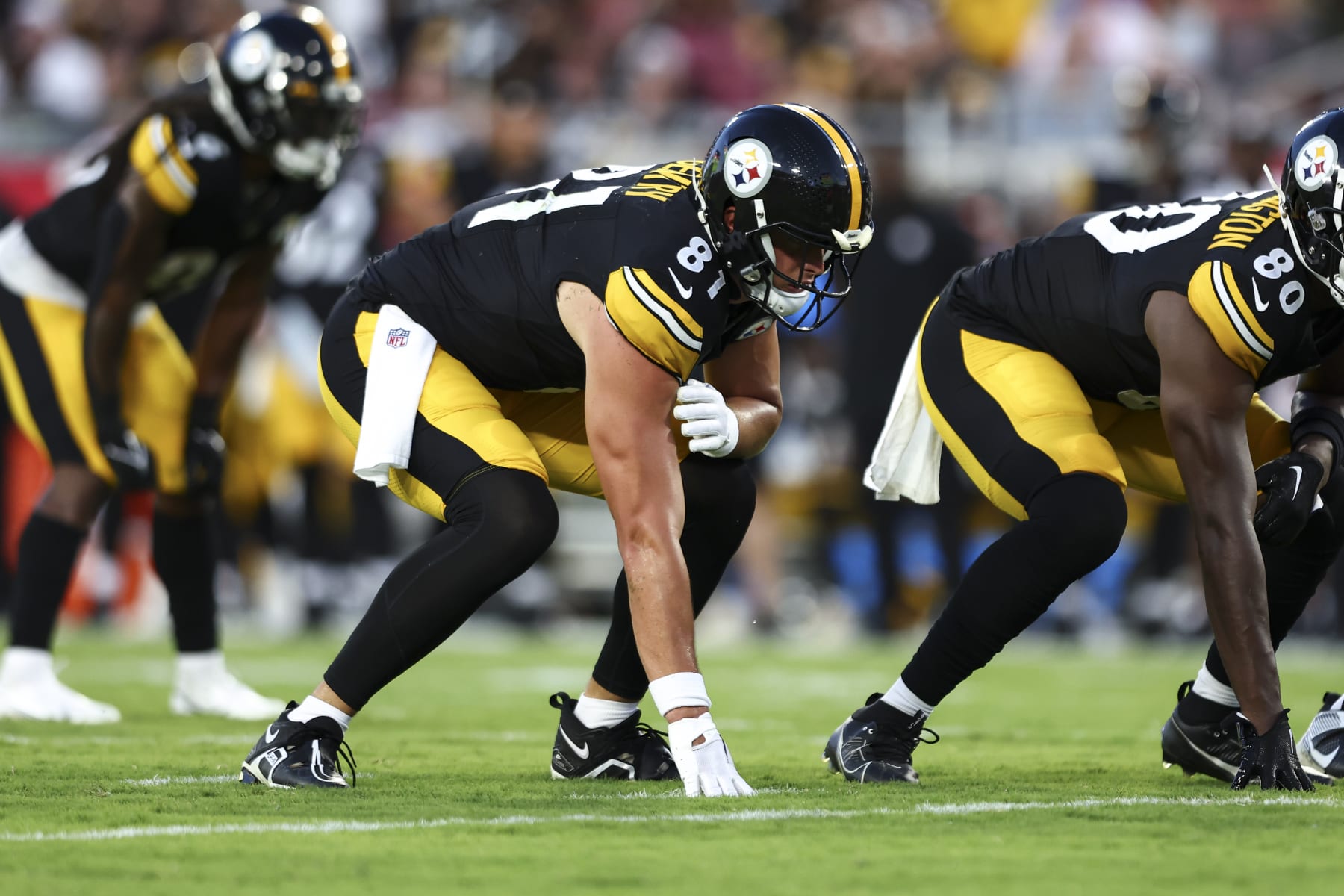 TAMPA, FL - AUGUST 11: Zach Gentry #81 of the Pittsburgh Steelers lines up before a play during an NFL preseason football game against the Tampa Bay Buccaneers at Raymond James Stadium on August 11, 2023 in Tampa, Florida. (Photo by Kevin Sabitus/Getty Images)