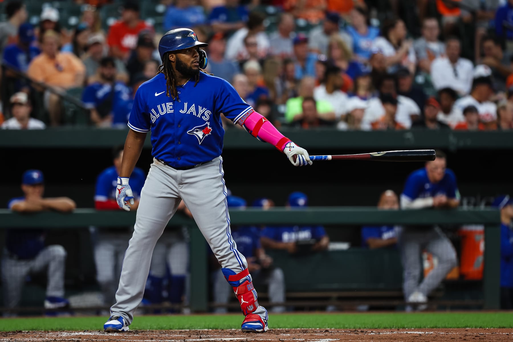 Vladimir Guerrero Jr.