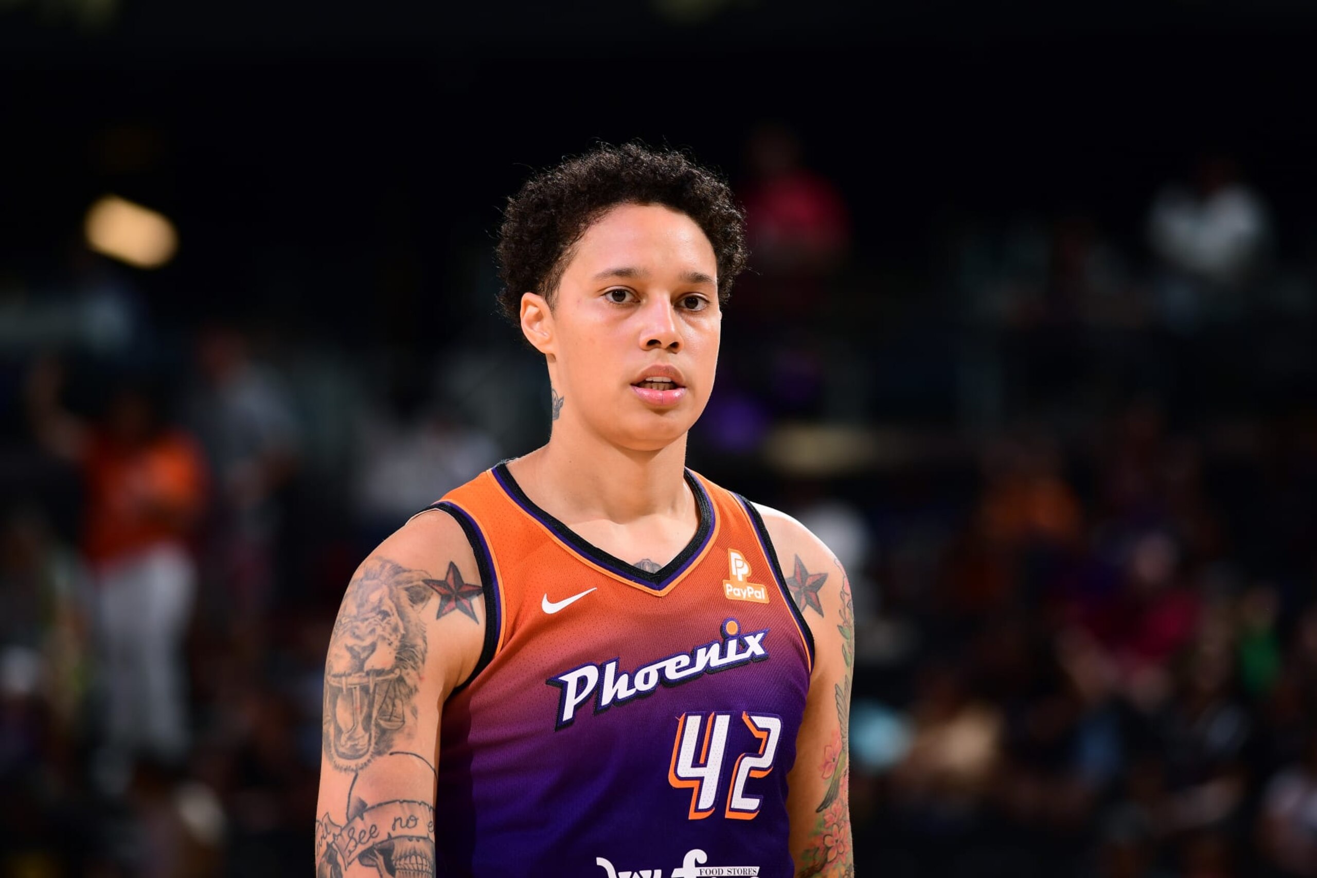 PHOENIX, AZ - AUGUST 27: Brittney Griner #42 of the Phoenix Mercury looks on during the game against the Dallas Wings on August 27, 2023 at Footprint Center in Phoenix, Arizona. NOTE TO USER: User expressly acknowledges and agrees that, by downloading and or using this photograph, user is consenting to the terms and conditions of the Getty Images License Agreement. Mandatory Copyright Notice: Copyright 2023 NBAE (Photo by Kate Frese/NBAE via Getty Images)