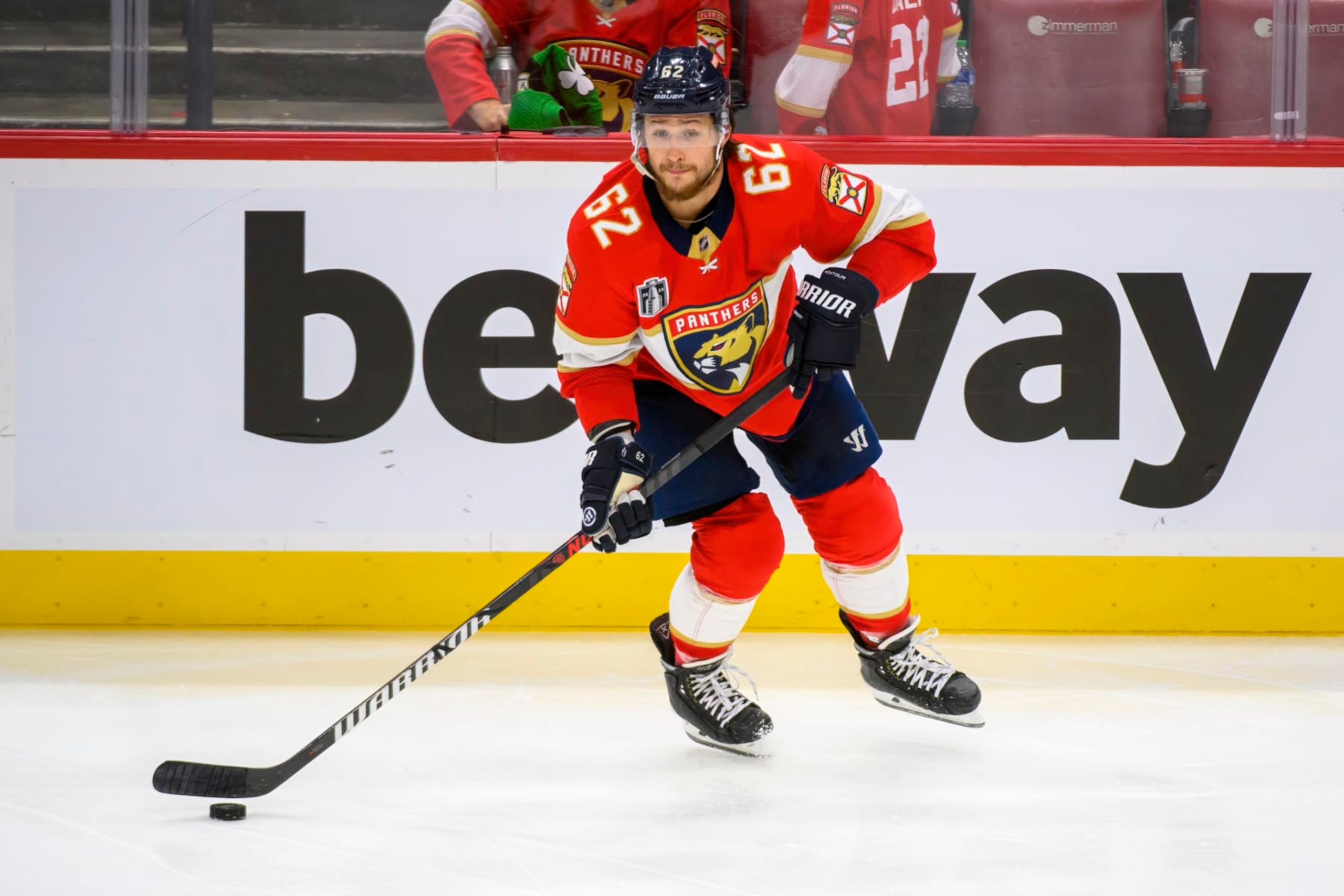 Brandon Montour