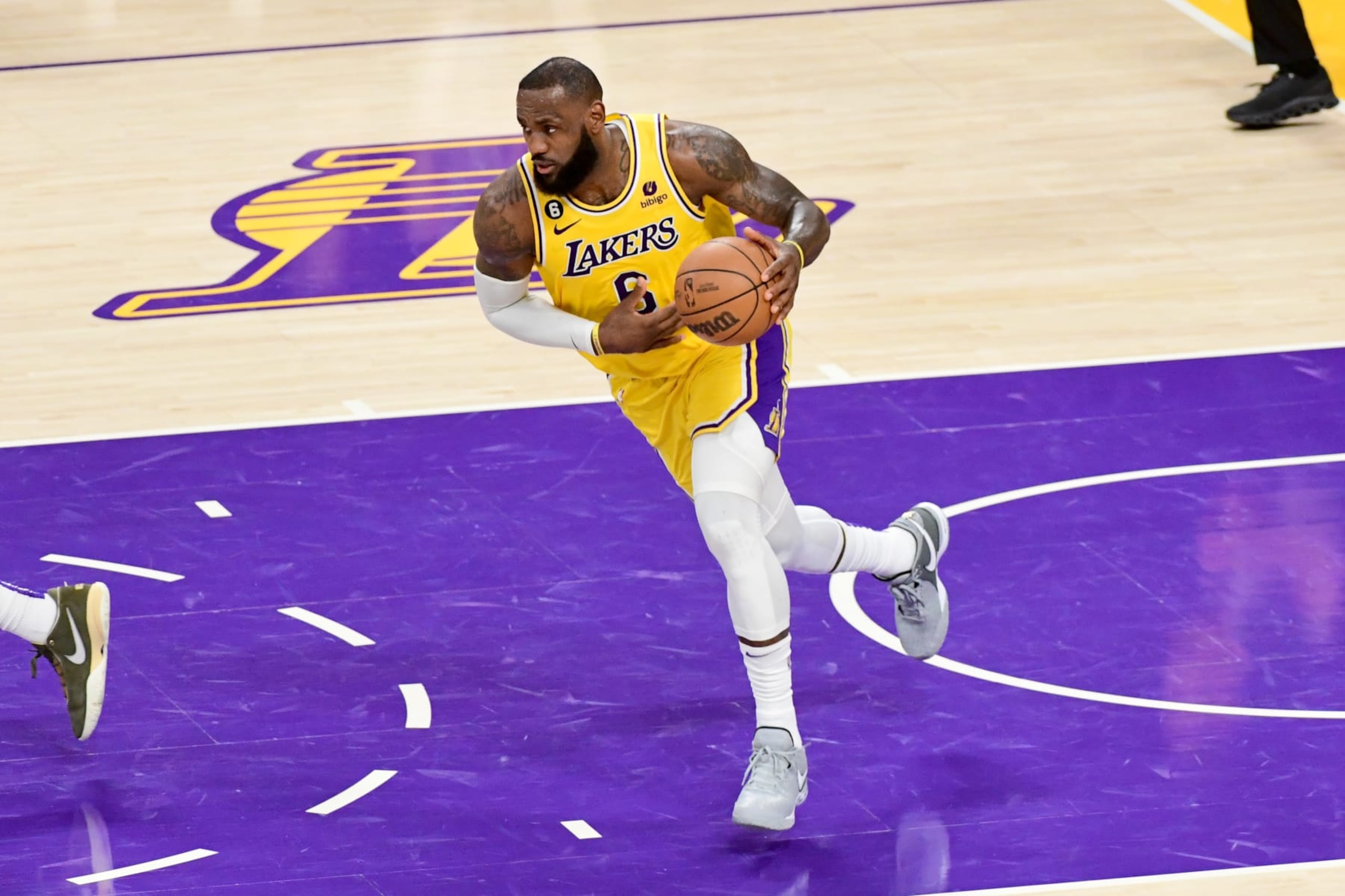 LeBron James LeBron James