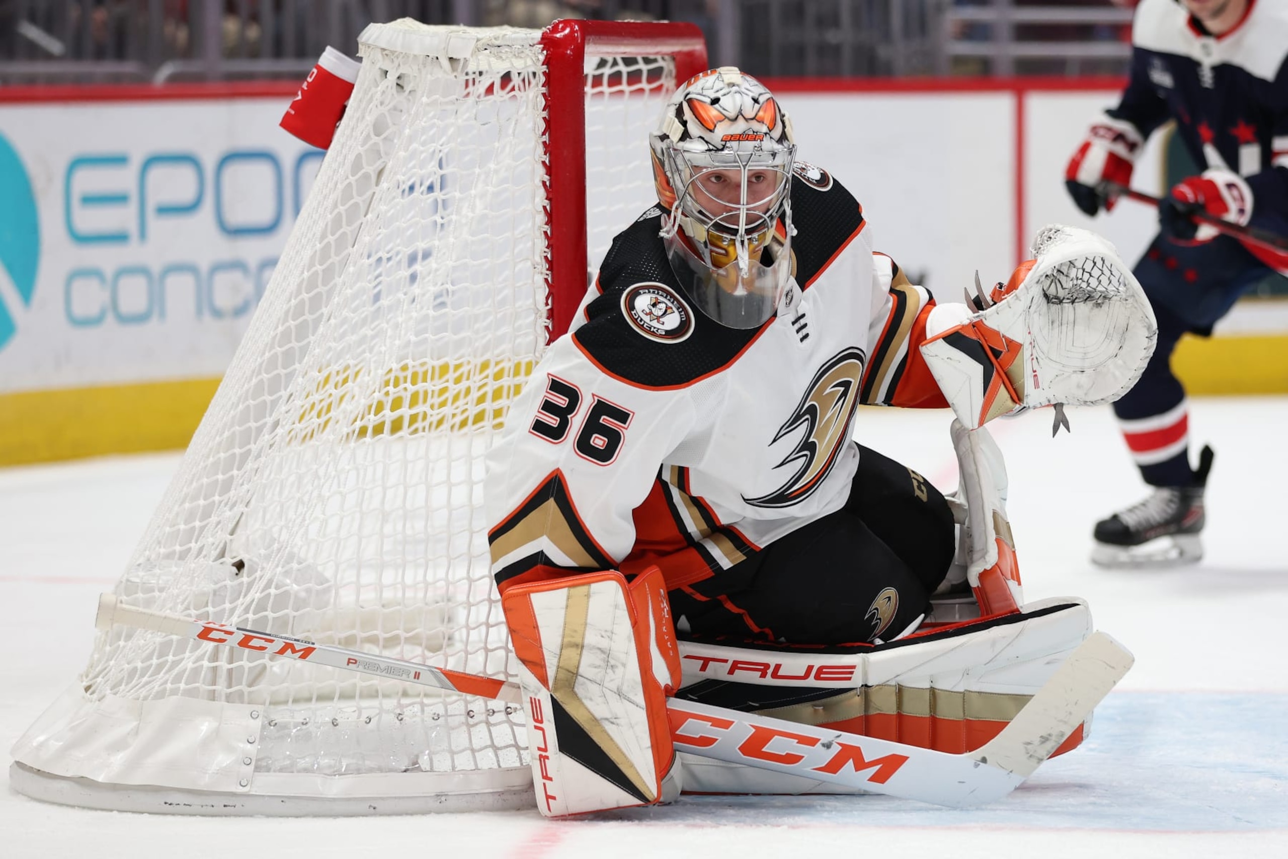 WASHINGTON, DC - FEBRUARY 23: John Gibson #36 of the Anaheim Ducks tends the net against the Washington Capitals during the second period at Capital One Arena on February 23, 2023 in Washington, DC. (Photo by Patrick Smith/Getty Images)