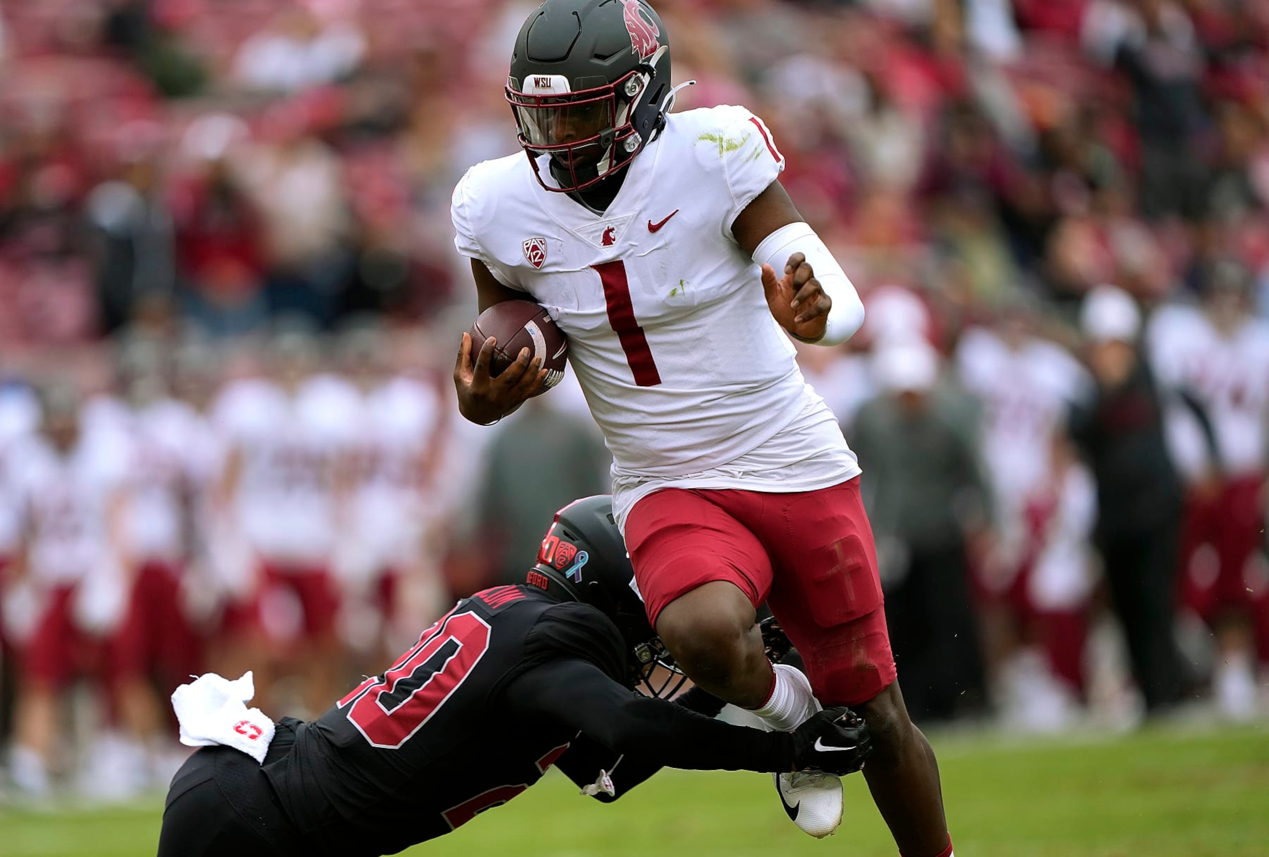 STANFORD, CALIFORNIA - NOVEMBER 05: Cameron Ward #1 of the Washington State Cougars rushes with the ball for a 15 yard touchdown run against the Stanford Cardinal during the first quarter of an NCAA football game at Stanford Stadium on November 05, 2022 in Stanford, California. (Photo by Thearon W. Henderson/Getty Images)