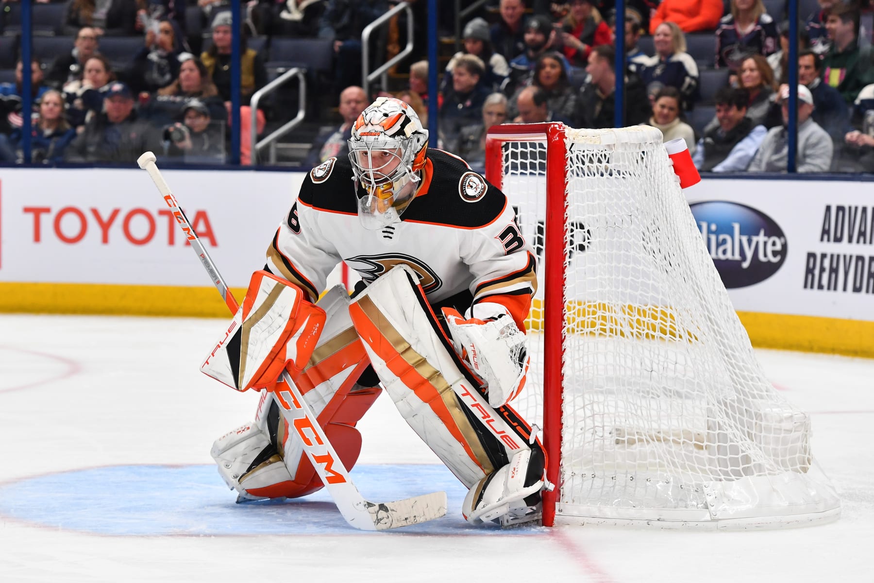 COLUMBUS, OHIO - JANUARY 19: Goaltender John Gibson #36 of the Anaheim Ducks defends the net during the third period of a game against the Columbus Blue Jackets at Nationwide Arena on January 19, 2023 in Columbus, Ohio. (Photo by Ben Jackson/NHLI via Getty Images)