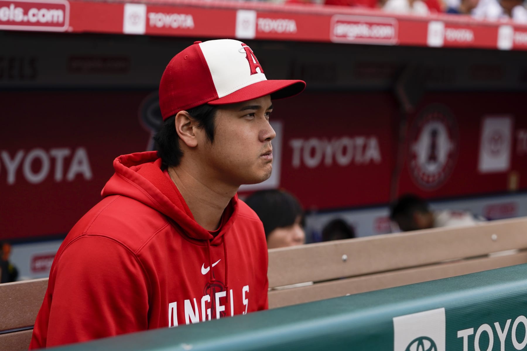 Los Angeles Angels' Shohei Ohtani watches from the dugout at the end of the first inning of a baseball game against the Detroit Tigers, Sunday, Sept. 17, 2023, in Anaheim, Calif. (AP Photo/Ryan Sun)