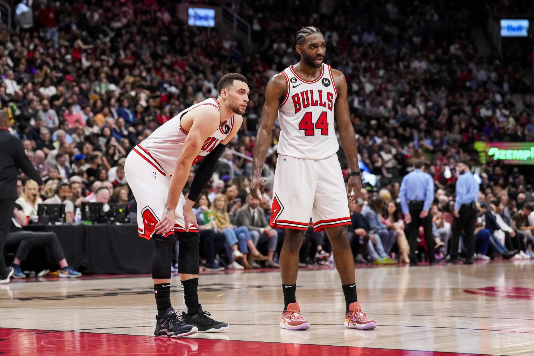 TORONTO, ON - APRIL 12: Zach LaVine #8 and Patrick Williams #44 of the Chicago Bulls look on against the Toronto Raptors during the 2023 Play-In Tournament at the Scotiabank Arena on April 12, 2023 in Toronto, Ontario, Canada. NOTE TO USER: User expressly acknowledges and agrees that, by downloading and/or using this Photograph, user is consenting to the terms and conditions of the Getty Images License Agreement. (Photo by Andrew Lahodynskyj/Getty Images)