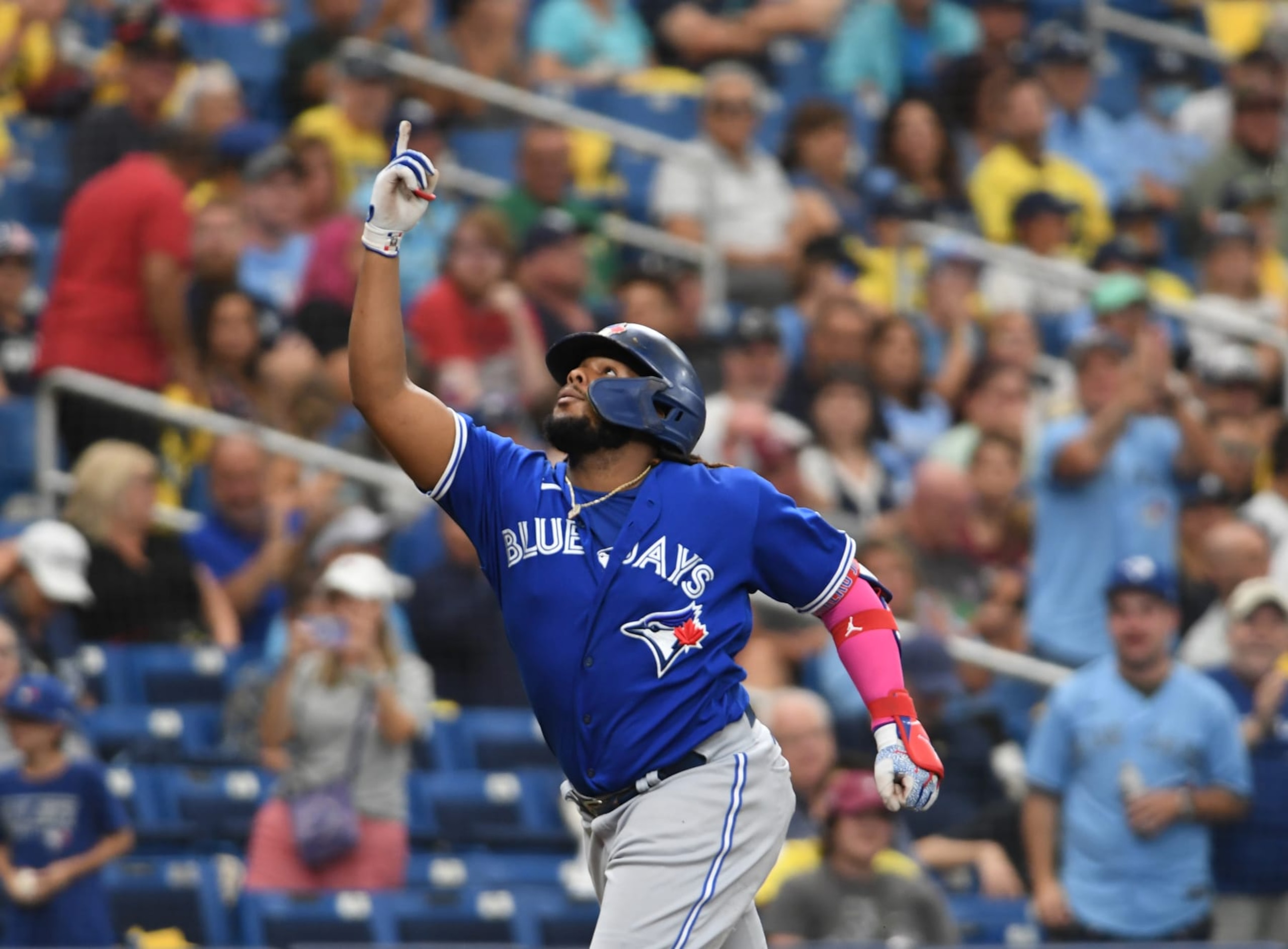 Vladimir Guerrero Jr.