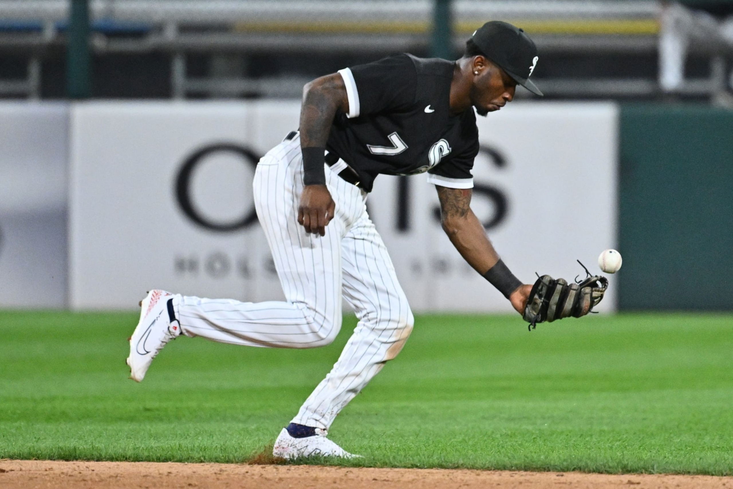 Tim Anderson