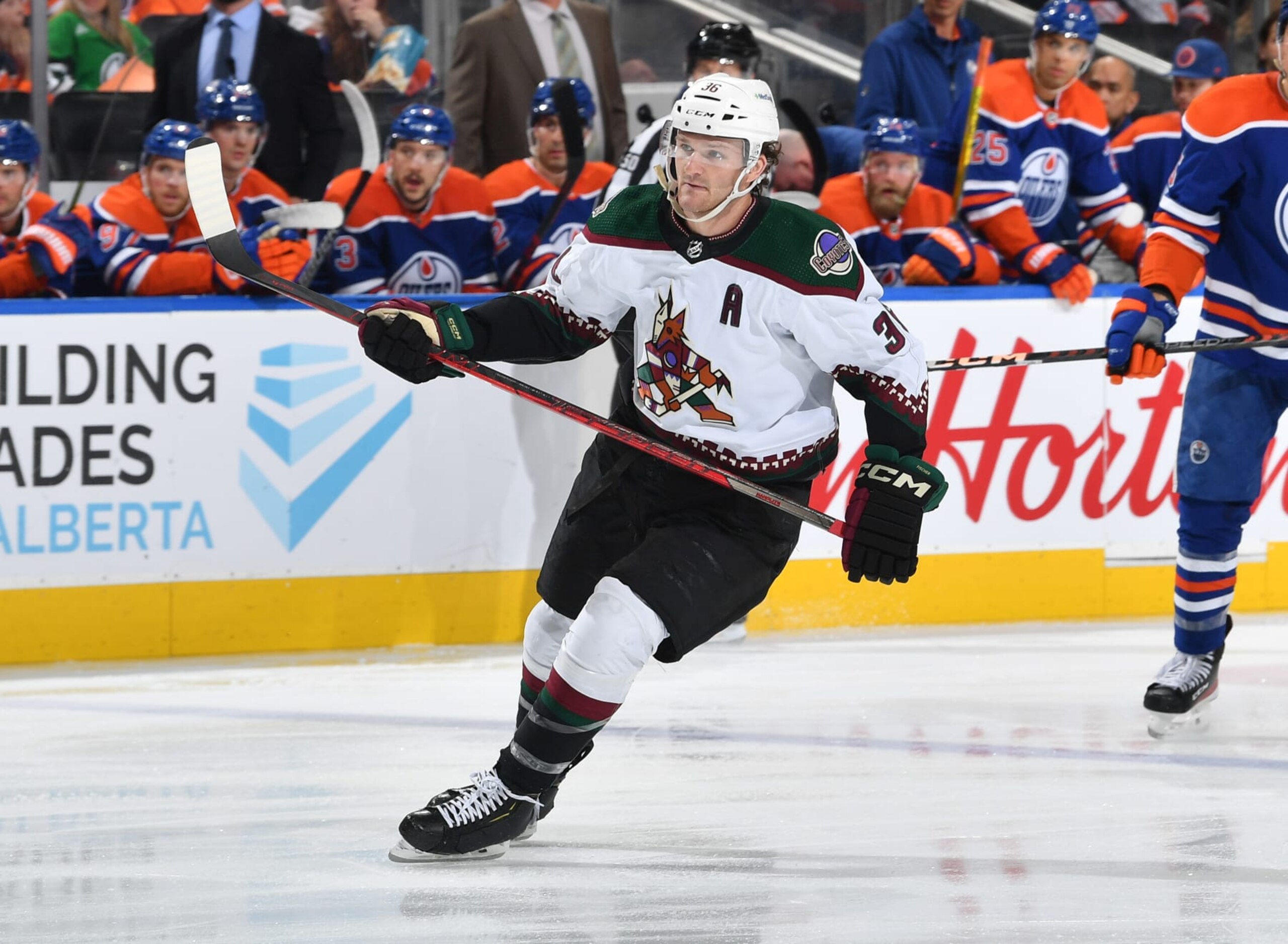 EDMONTON, CANADA - MARCH 22: Christian Fischer #36 of the Arizona Coyotes skates during the game against the Edmonton Oilers on March 22, 2023 at Rogers Place in Edmonton, Alberta, Canada. (Photo by Andy Devlin/NHLI via Getty Images)