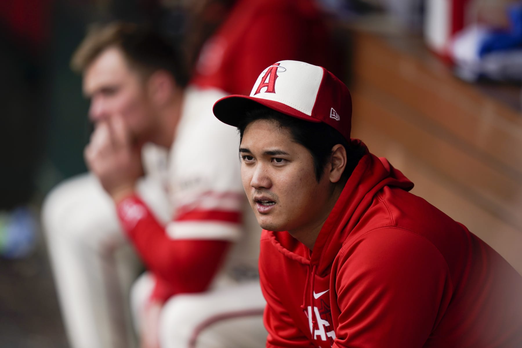 Los Angeles Angels' Shohei Ohtani watches from the dugout during the fifth inning of a baseball game against the Detroit Tigers, Sunday, Sept. 17, 2023, in Anaheim, Calif. (AP Photo/Ryan Sun)