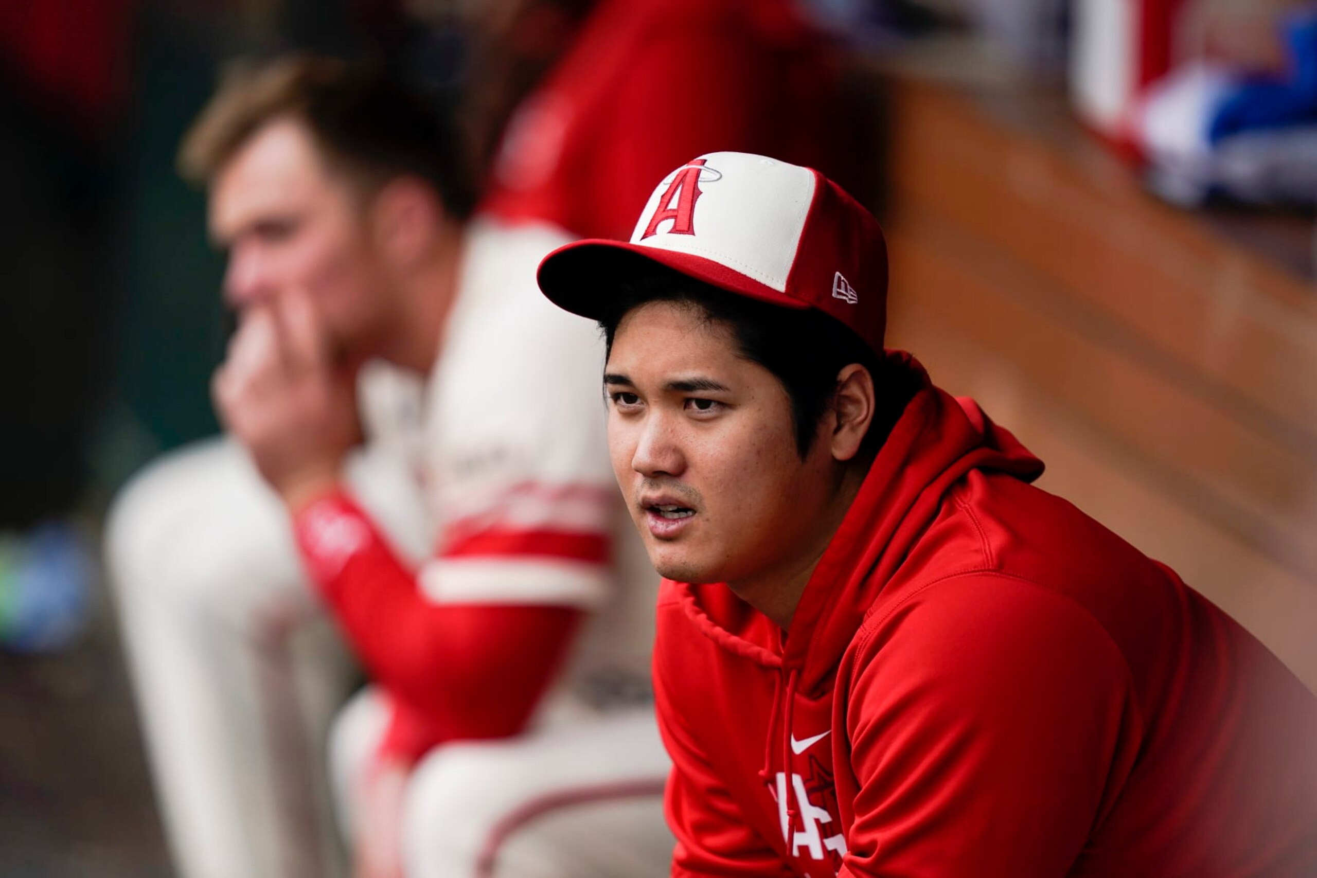 Los Angeles Angels' Shohei Ohtani watches from the dugout during the fifth inning of a baseball game against the Detroit Tigers, Sunday, Sept. 17, 2023, in Anaheim, Calif. (AP Photo/Ryan Sun)