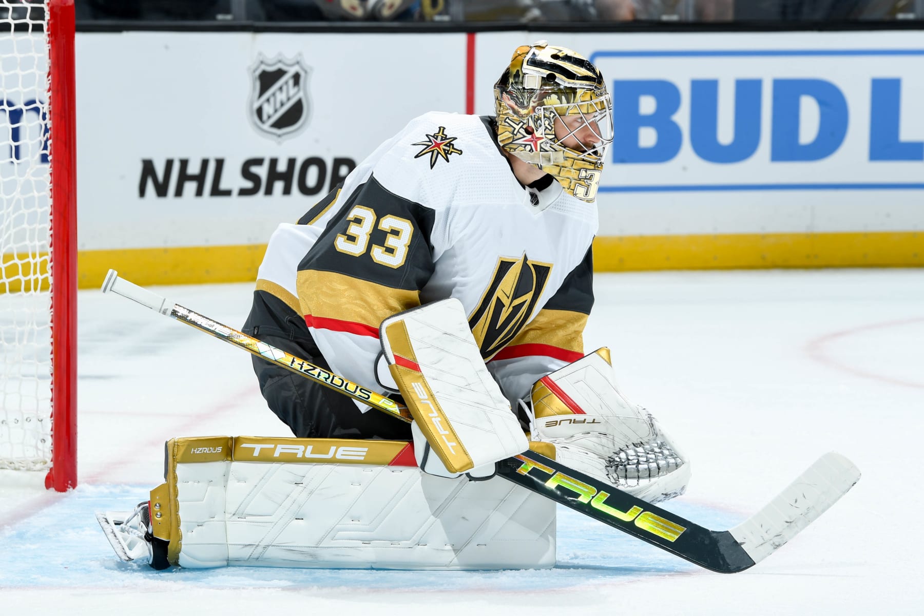 LOS ANGELES, CA - OCTOBER 7: Adin Hill #33 of the Vegas Golden Knights protects the goal during the third period of a preseason game against the Los Angeles Kings at Crypto.com Arena on October 7, 2023 in Los Angeles, California. (Photo by Andrew Bernstein/NHLI via Getty Images)