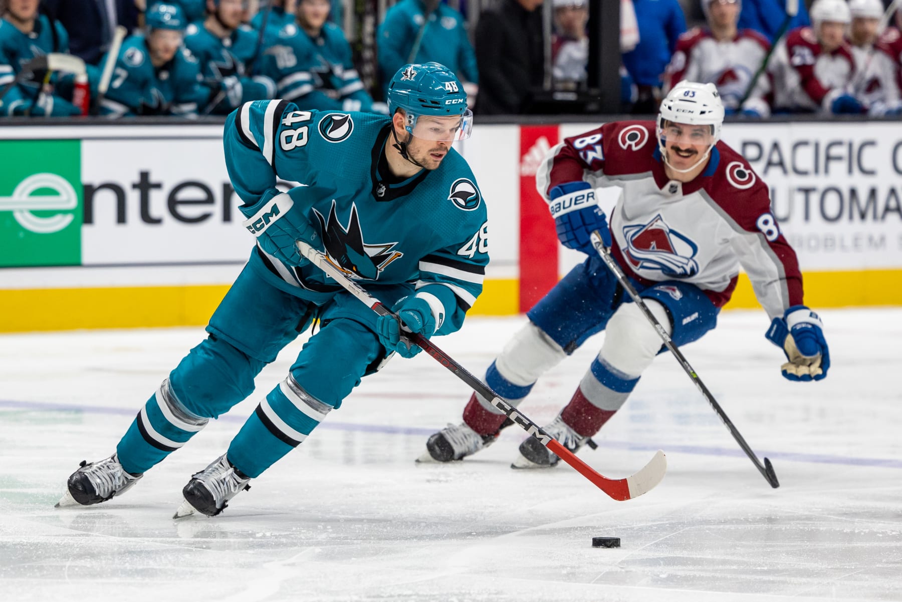 SAN JOSE, CA - APRIL 06: San Jose Sharks Center Tomas Hertl (48) skates with the puck during the NHL pro hockey game between the Colorado Avalanche and San Jose Sharks on April 6, 2023 at the SAP Center in San Jose, CA. (Photo by Bob Kupbens/Icon Sportswire via Getty Images)