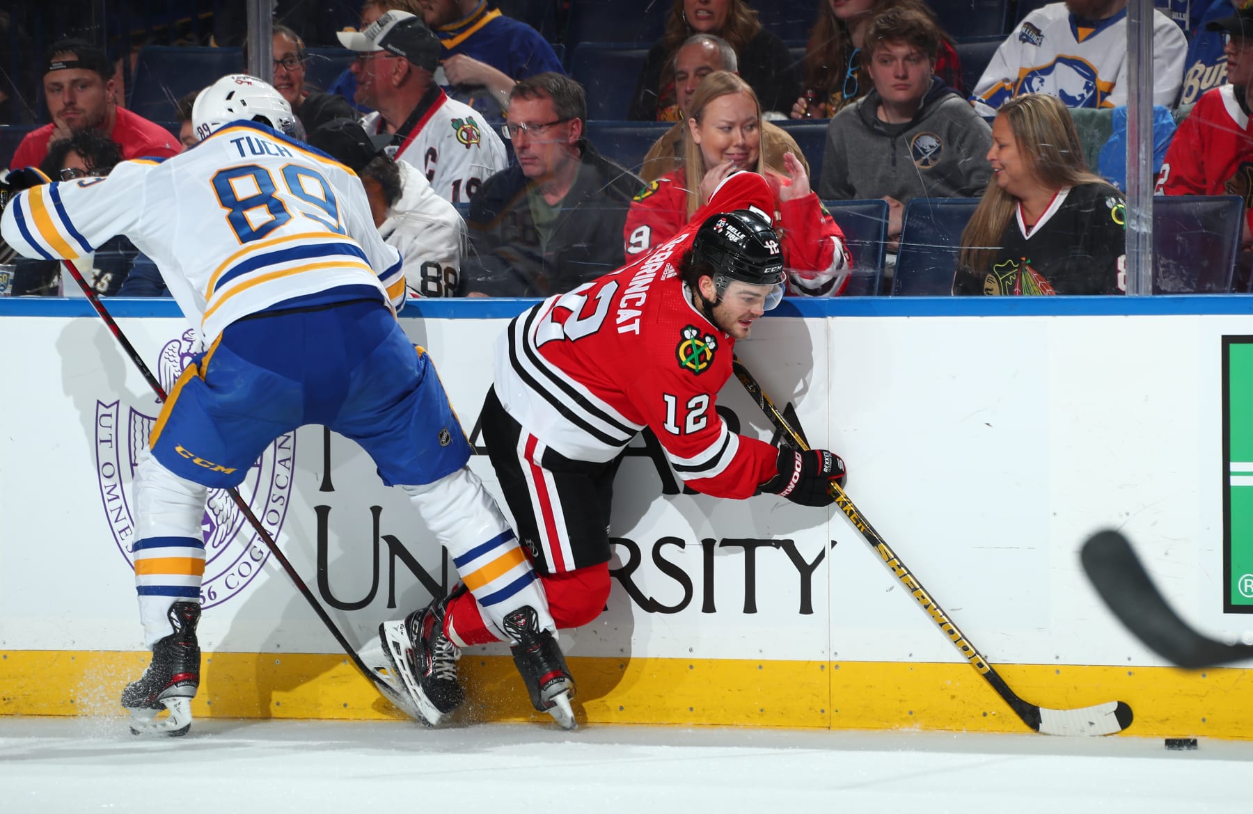 Alex DeBrincat