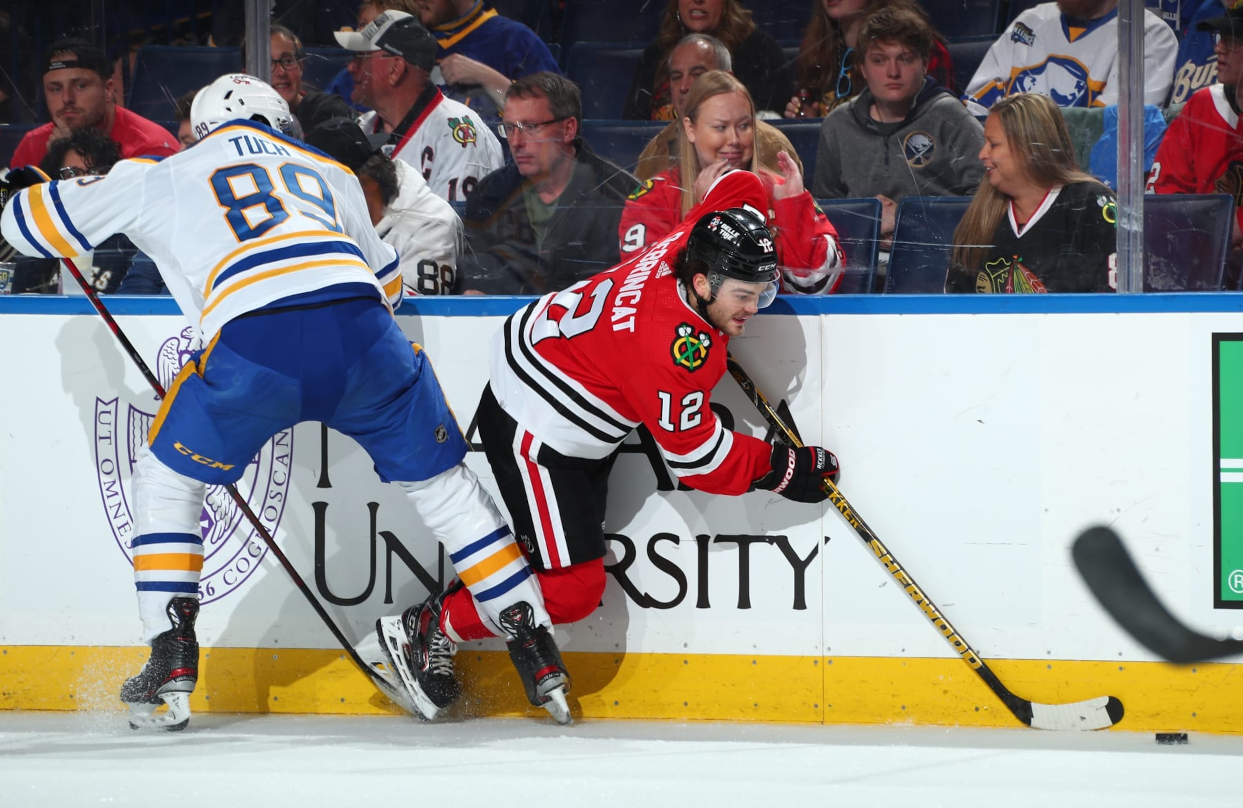 Alex DeBrincat