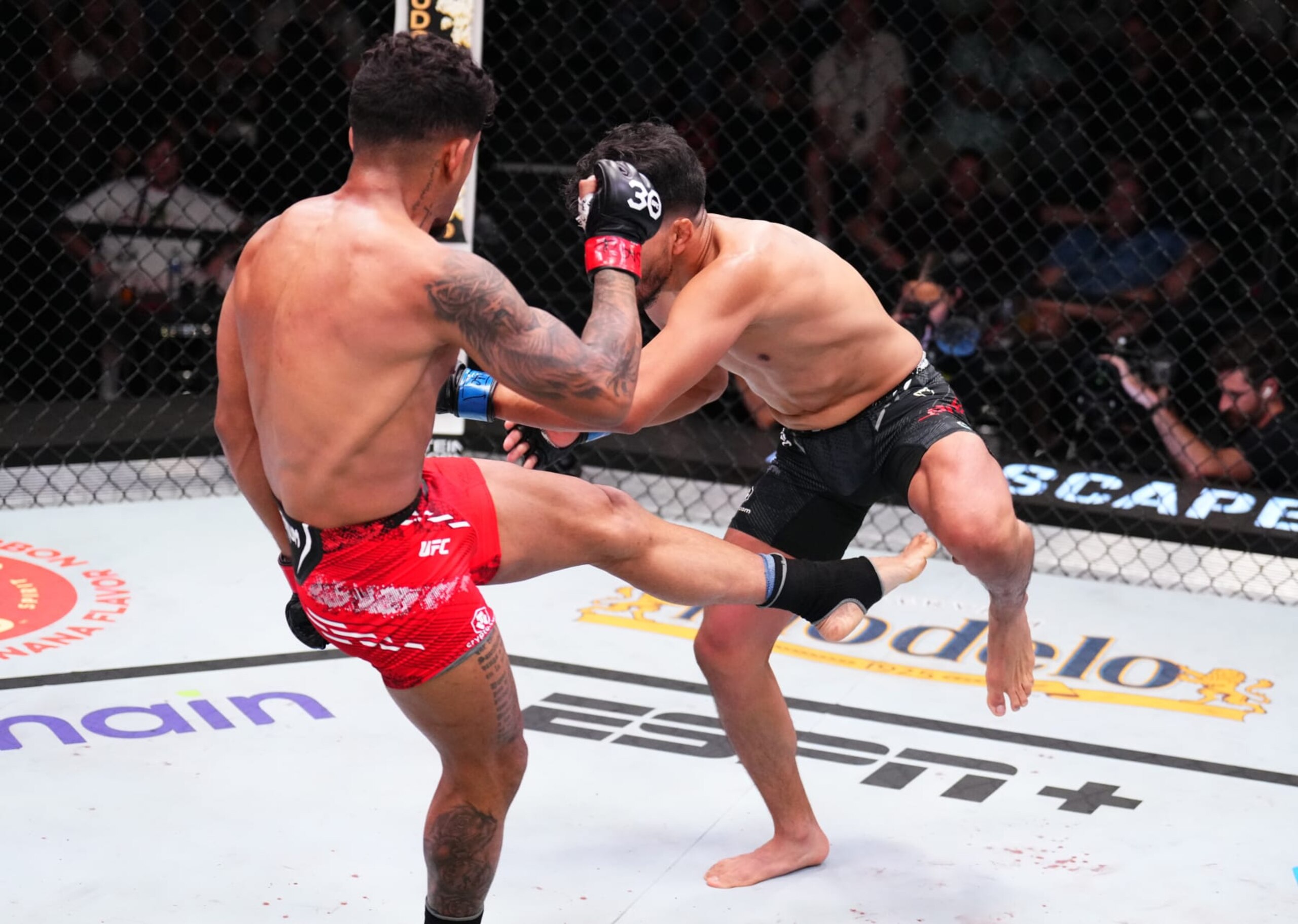 LAS VEGAS, NEVADA - OCTOBER 14: (L-R) Jonathan Martinez kicks Adrian Yanez in a bantamweight fight during the UFC Fight Night event at UFC APEX on October 14, 2023 in Las Vegas, Nevada. (Photo by Chris Unger/Zuffa LLC via Getty Images) LAS VEGAS, NEVADA - OCTOBER 14: (L-R) Jonathan Martinez kicks Adrian Yanez in a bantamweight fight during the UFC Fight Night event at UFC APEX on October 14, 2023 in Las Vegas, Nevada. (Photo by Chris Unger/Zuffa LLC via Getty Images)