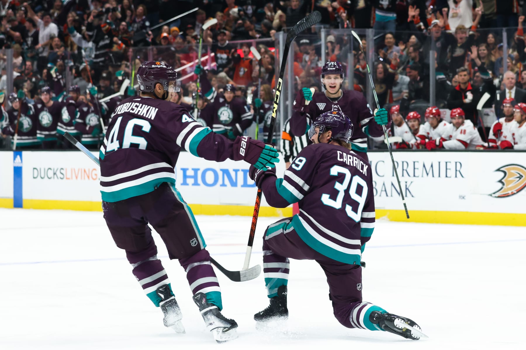 ANAHEIM, CA  OCTOBER 15:  Sam Carrick #39 of the Anaheim Ducks celebrates a goal with Ilya Lyubushkin #46 and Pavel Mintyukov #34 during the first period of the game against the Carolina Hurricanes on October 15, 2023 at Honda Center in Anaheim, California. (Photo by Debora Robinson/NHLI via Getty Images)