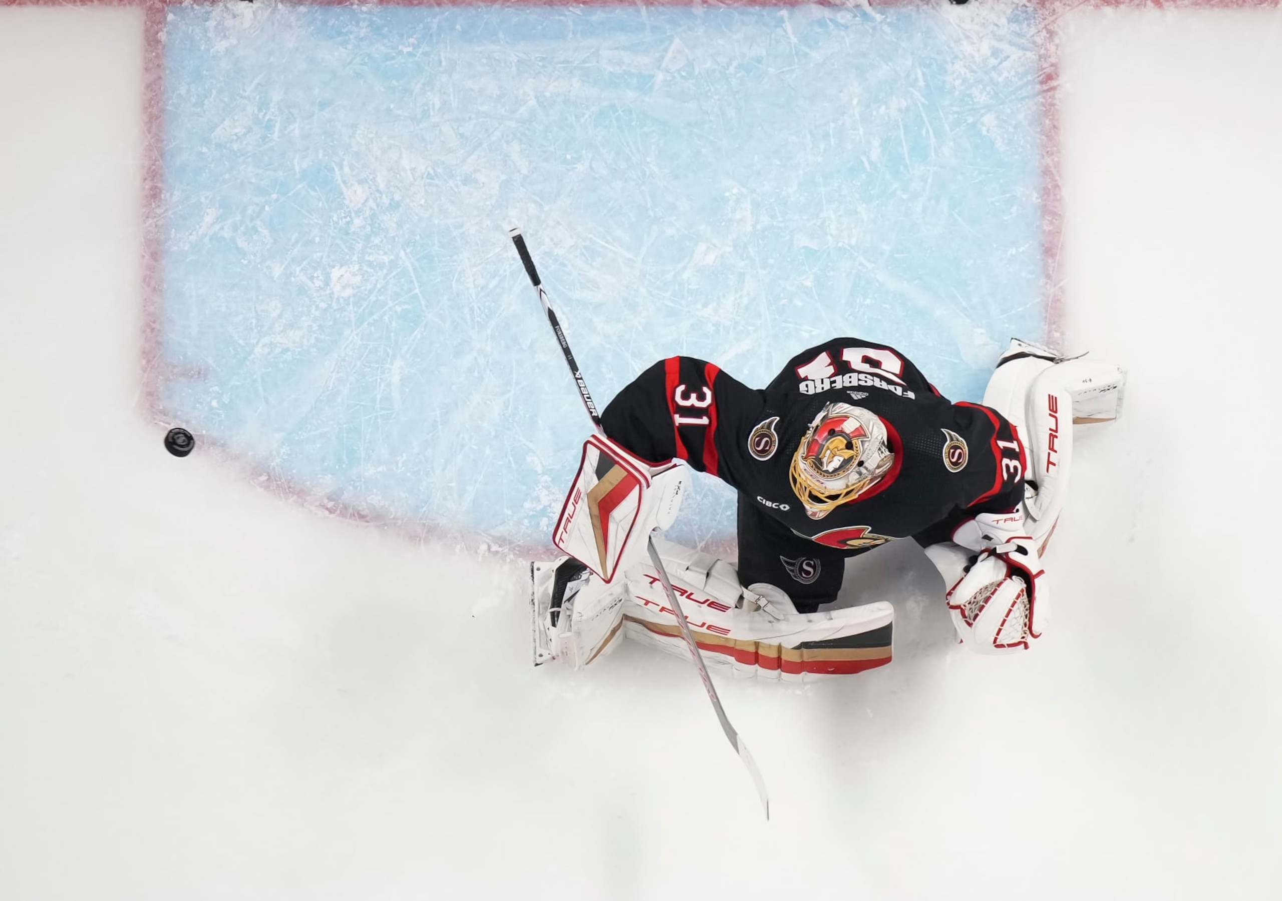 OTTAWA, CANADA - OCTOBER 24: Anton Forsberg #31 of the Ottawa Senators makes a save during warm-up prior to a game against the Buffalo Sabres at Canadian Tire Centre on October 24, 2023 in Ottawa, Ontario, Canada.  (Photo by André Ringuette/NHLI via Getty Images)