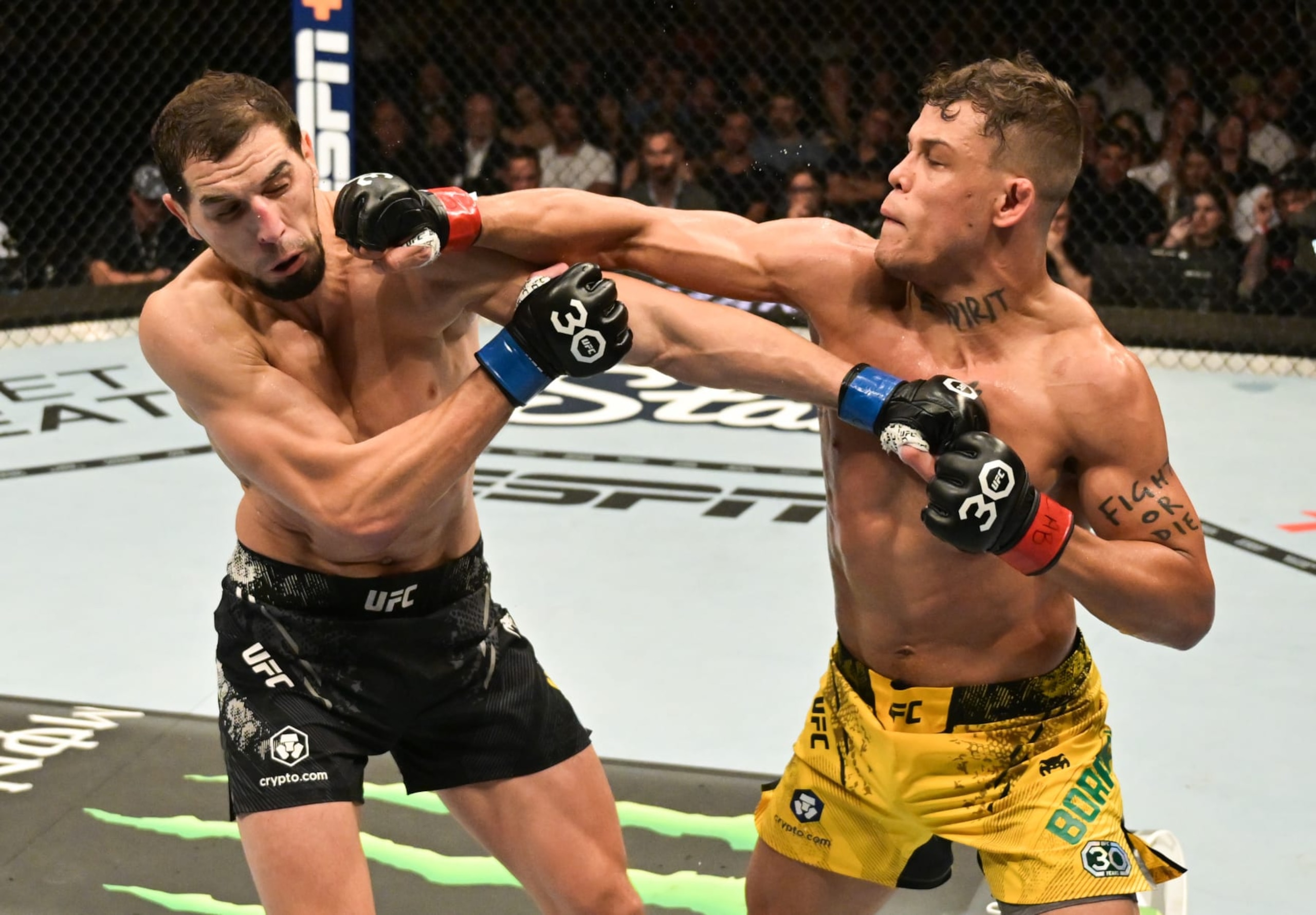 SAO PAULO, BRAZIL - NOVEMBER 04: (R-L) Caio Borralho of Brazil punches Abus Magomedov of Russia in a middleweight fight during the UFC Fight Night event at Ibirapuera Gymnasium on November 04, 2023 in Sao Paulo, Brazil. (Photo by Pedro Vilela/Zuffa LLC via Getty Images)