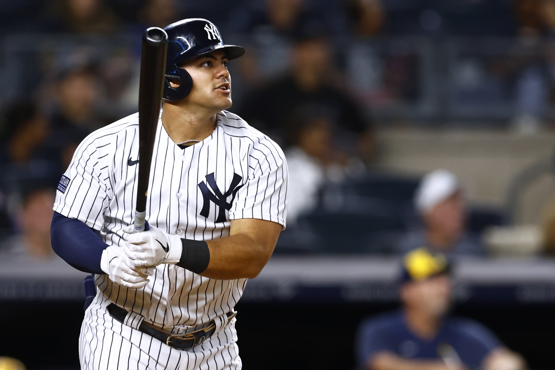 New York's Jasson Dominguez
