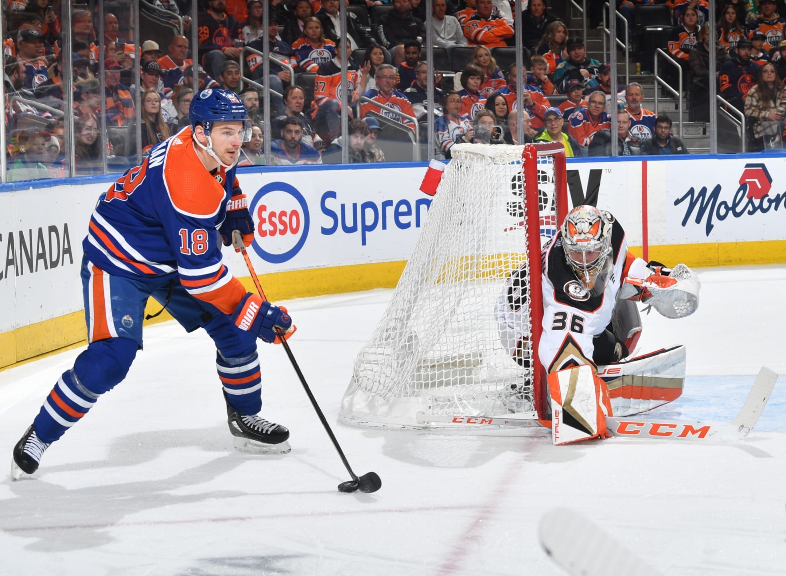 EDMONTON, CANADA - APRIL 01: Zach Hyman #18 of the Edmonton Oilers skates during the game against the Anaheim Ducks on April 1, 2023 at Rogers Place in Edmonton, Alberta, Canada. (Photo by Andy Devlin/NHLI via Getty Images) EDMONTON, CANADA - APRIL 01: Zach Hyman #18 of the Edmonton Oilers skates during the game against the Anaheim Ducks on April 1, 2023 at Rogers Place in Edmonton, Alberta, Canada. (Photo by Andy Devlin/NHLI via Getty Images)