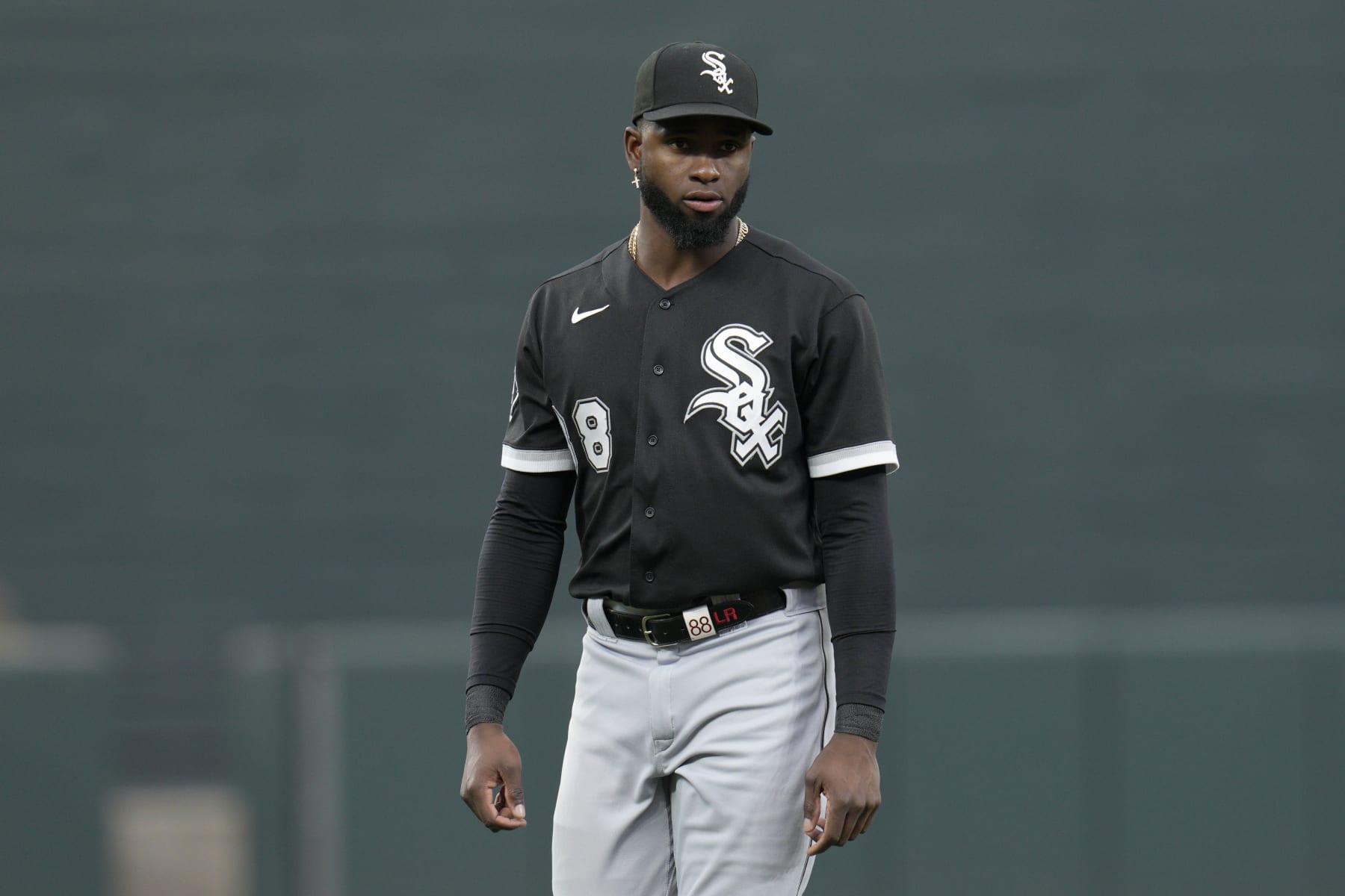 Luis Robert Jr.