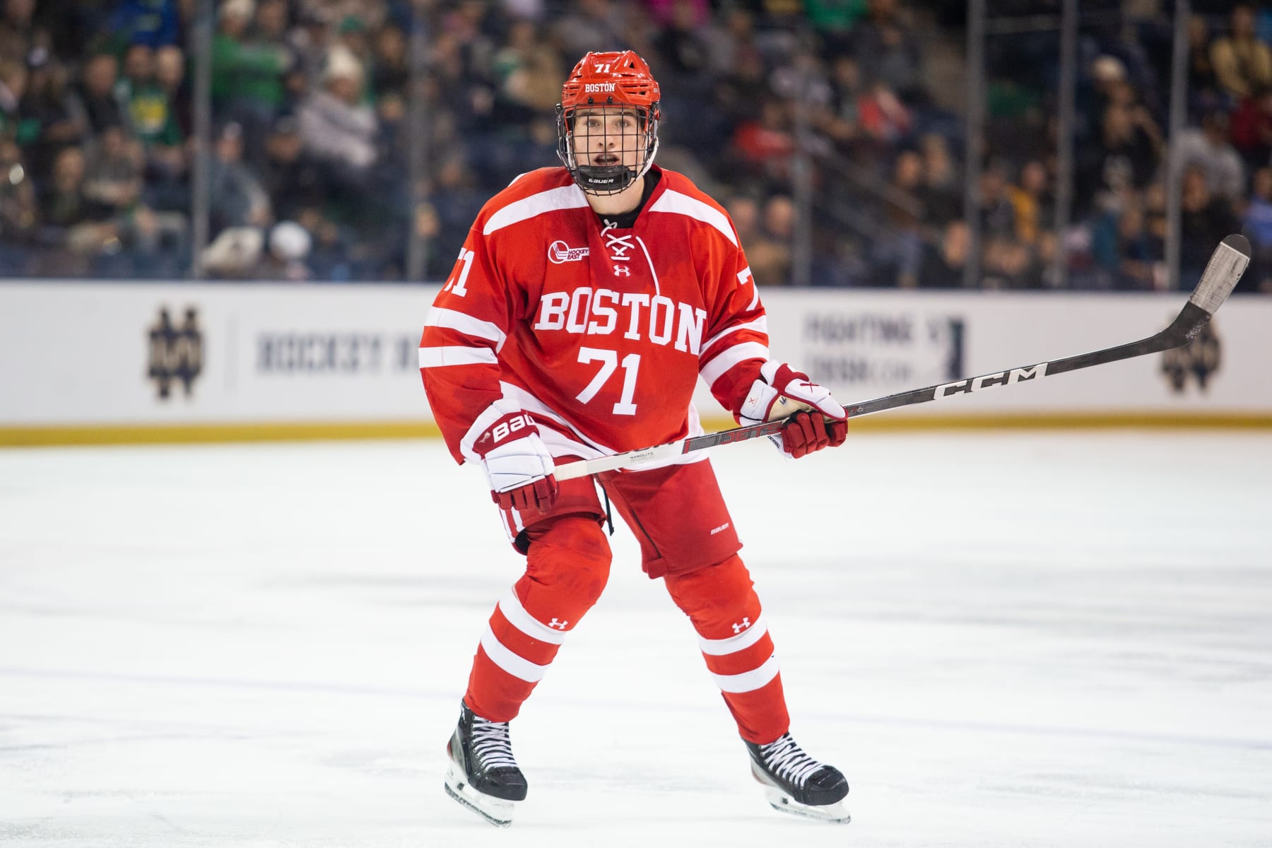 Boston University center  Macklin Celebrini.