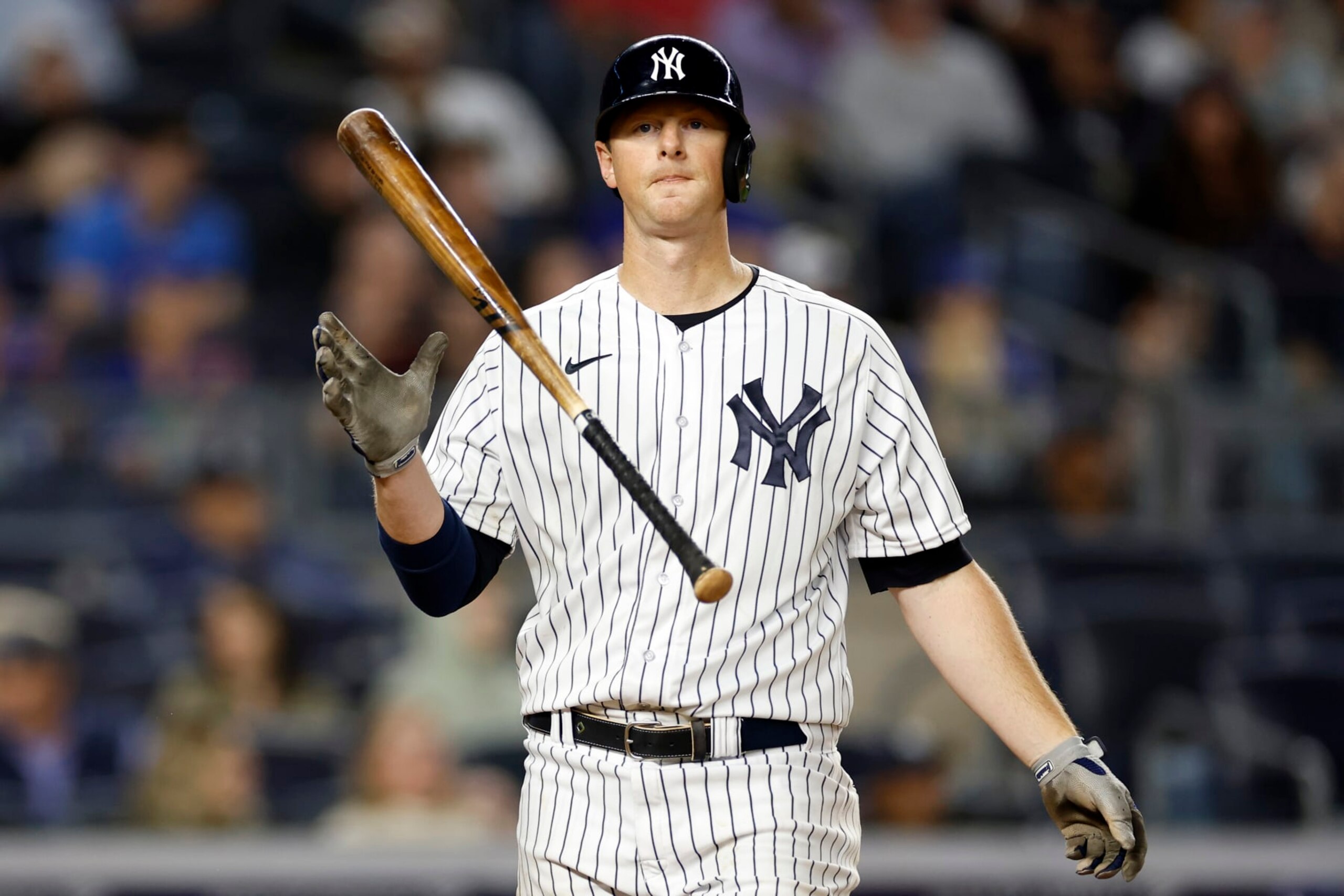DJ LeMahieu DJ LeMahieu