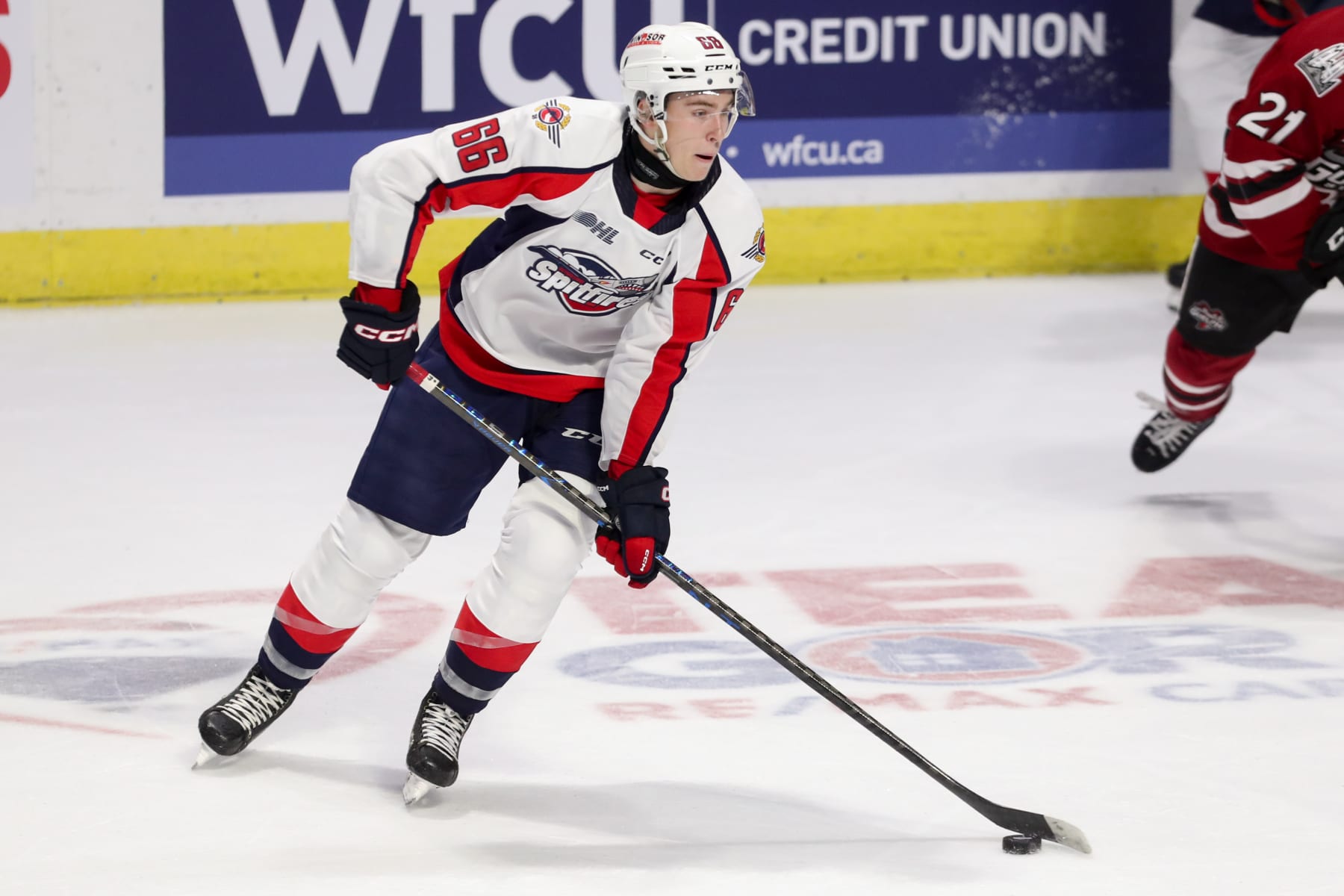 WINDSOR, ONTARIO - SEPTEMBER 30: Forward Liam Greentree #66 of the Windsor Spitfires skates against the Guelph Storm at WFCU Centre on September 30, 2023 in Windsor, Ontario. (Photo by Dennis Pajot/Getty Images)