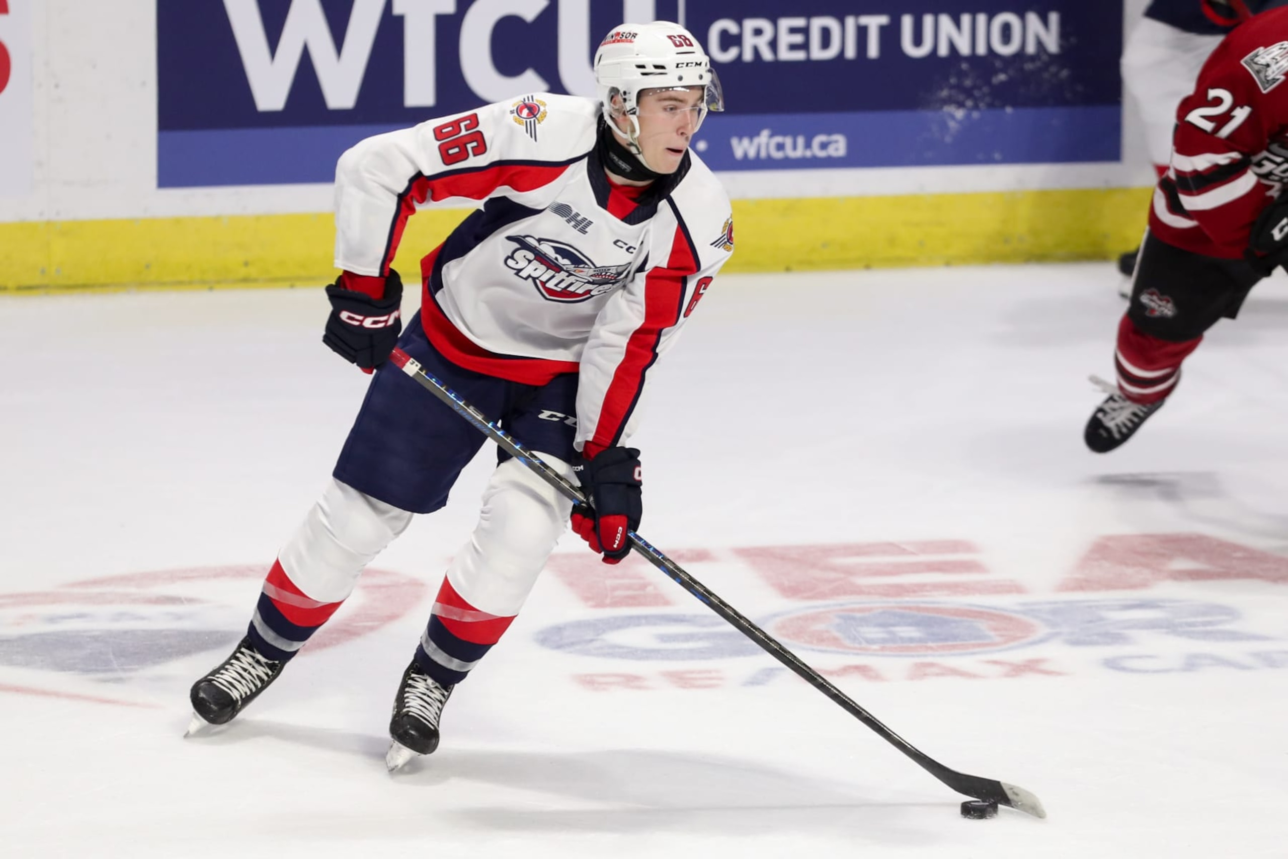 WINDSOR, ONTARIO - SEPTEMBER 30: Forward Liam Greentree #66 of the Windsor Spitfires skates against the Guelph Storm at WFCU Centre on September 30, 2023 in Windsor, Ontario. (Photo by Dennis Pajot/Getty Images)