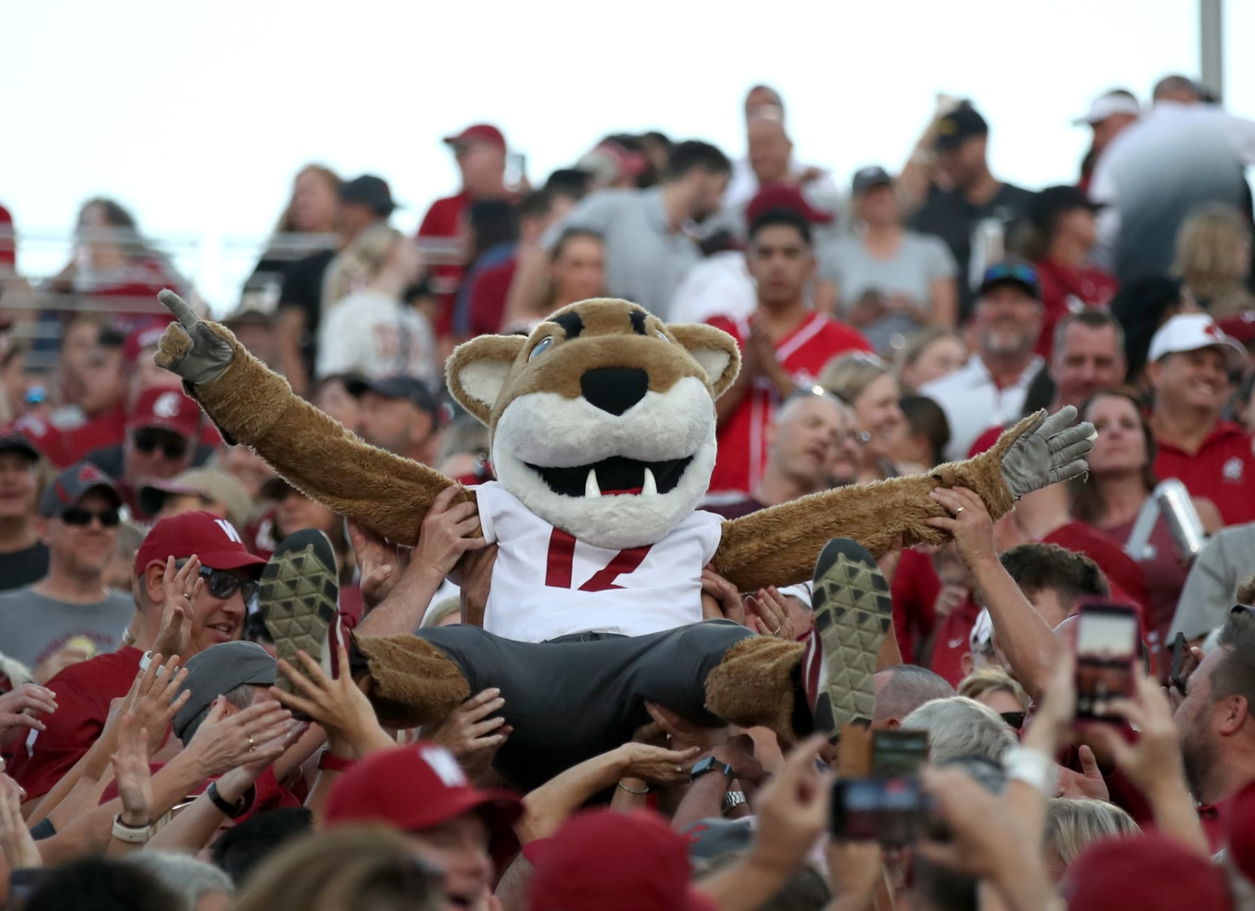 TEMPE, ARIZONA - OCTOBER 28: Butch, the mascot for the Washington State Cougars crowd surfs in the WSU fan section during the Washington State Cougars versus the Arizona State Sun Devils at Mountain America Stadium on October 28, 2023 in Tempe, Arizona. (Photo by Bruce Yeung/Getty Images)
