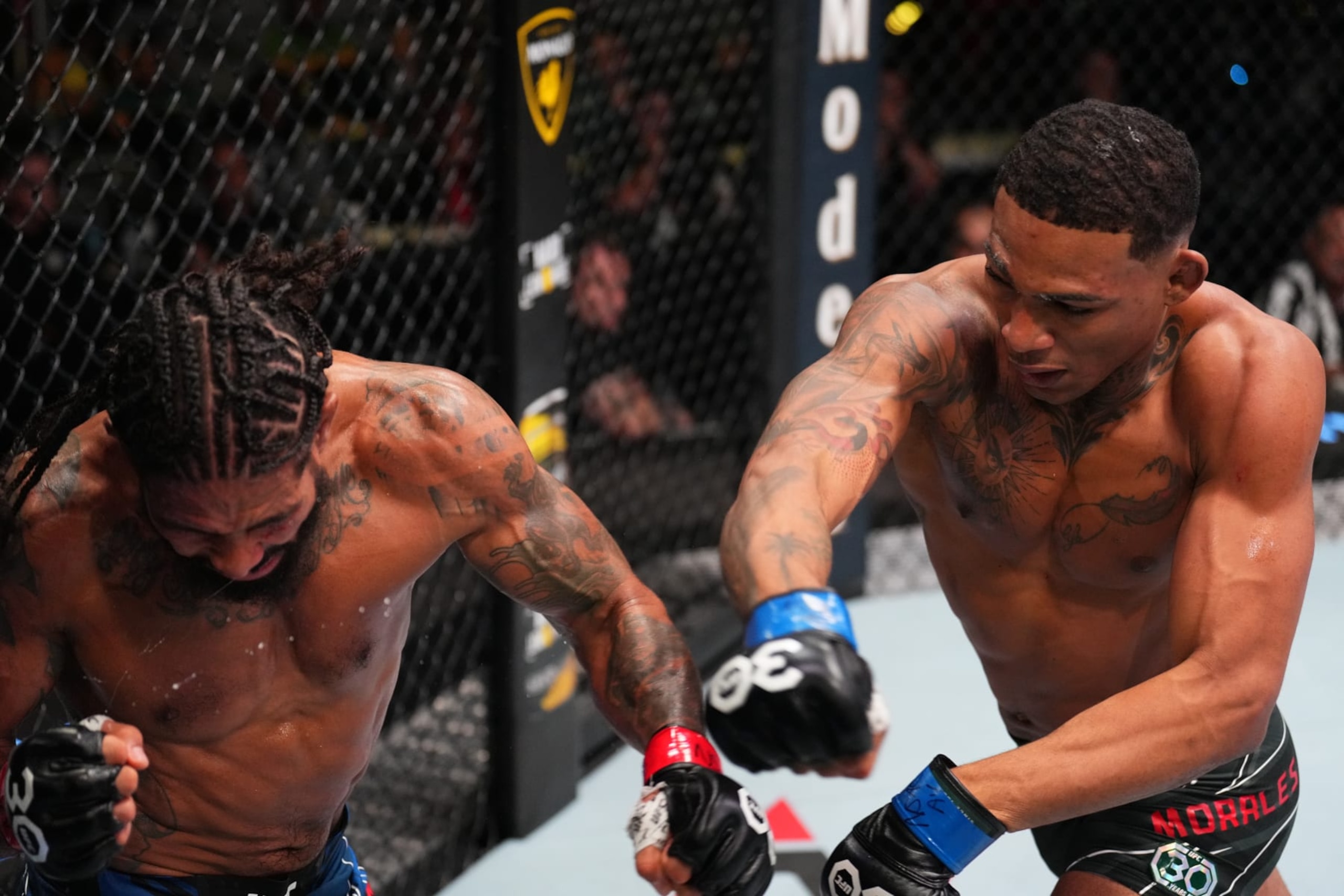 Michael Morales punches Max Griffin