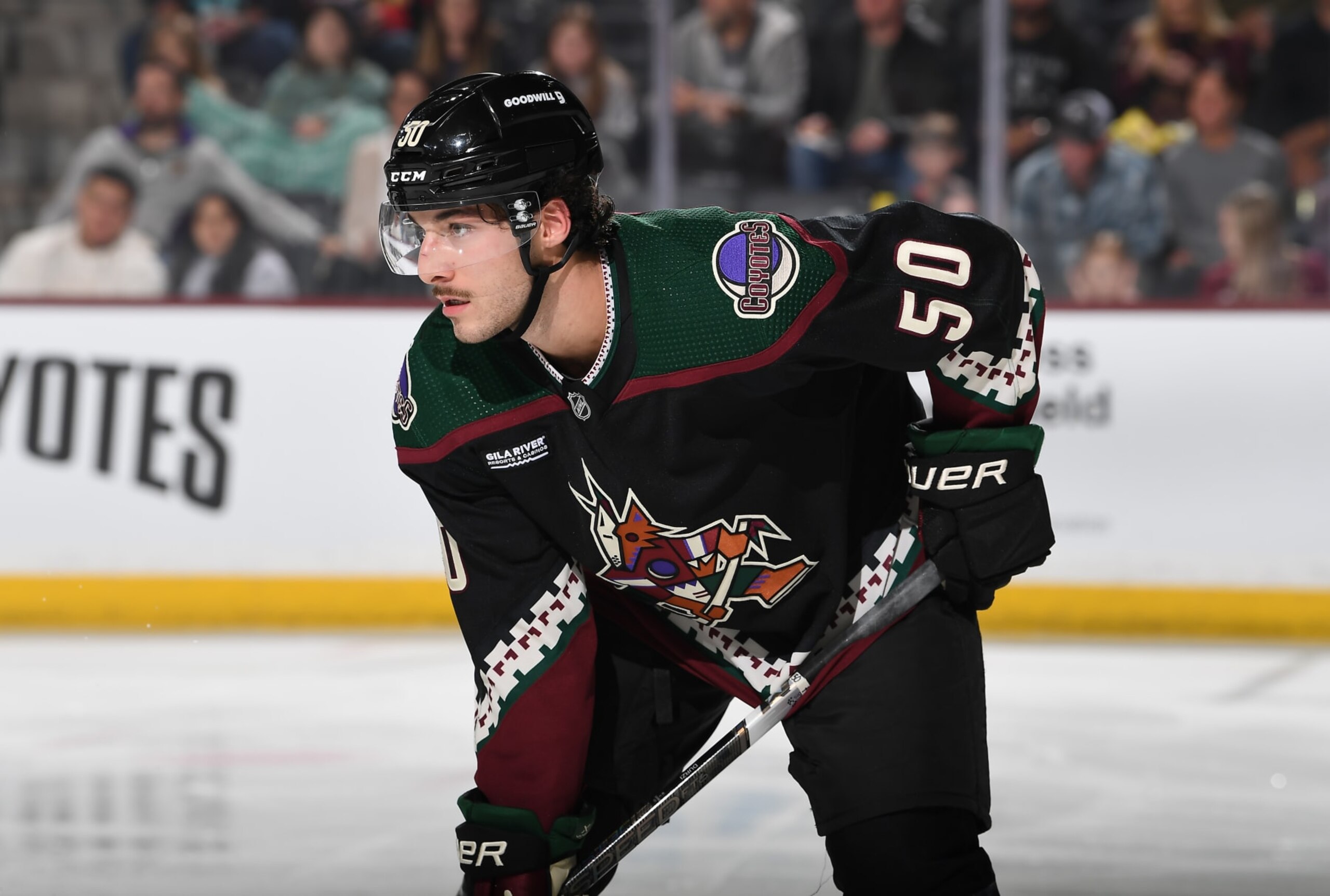 TEMPE, ARIZONA - NOVEMBER 20: Sean Durzi #50 of the Arizona Coyotes gets ready during a face off against the Los Angeles Kings at Mullett Arena on November 20, 2023 in Tempe, Arizona. (Photo by Norm Hall/NHLI via Getty Images)