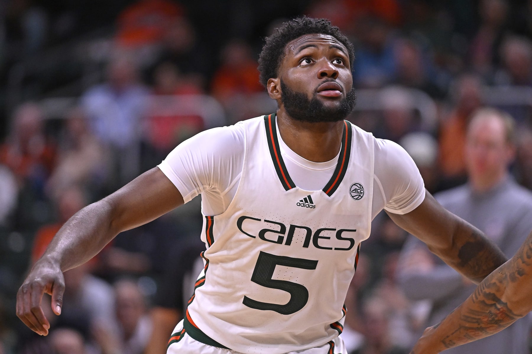 CORAL GABLES, FL - NOVEMBER 06: Miami guard Wooga Poplar (5) positions for a rebound in the second half as the Miami Hurricanes faced the NJIT Highlanders on November 6, 2023, at the Watsco Center in Coral Gables, Florida. (Photo by Samuel Lewis/Icon Sportswire via Getty Images)
