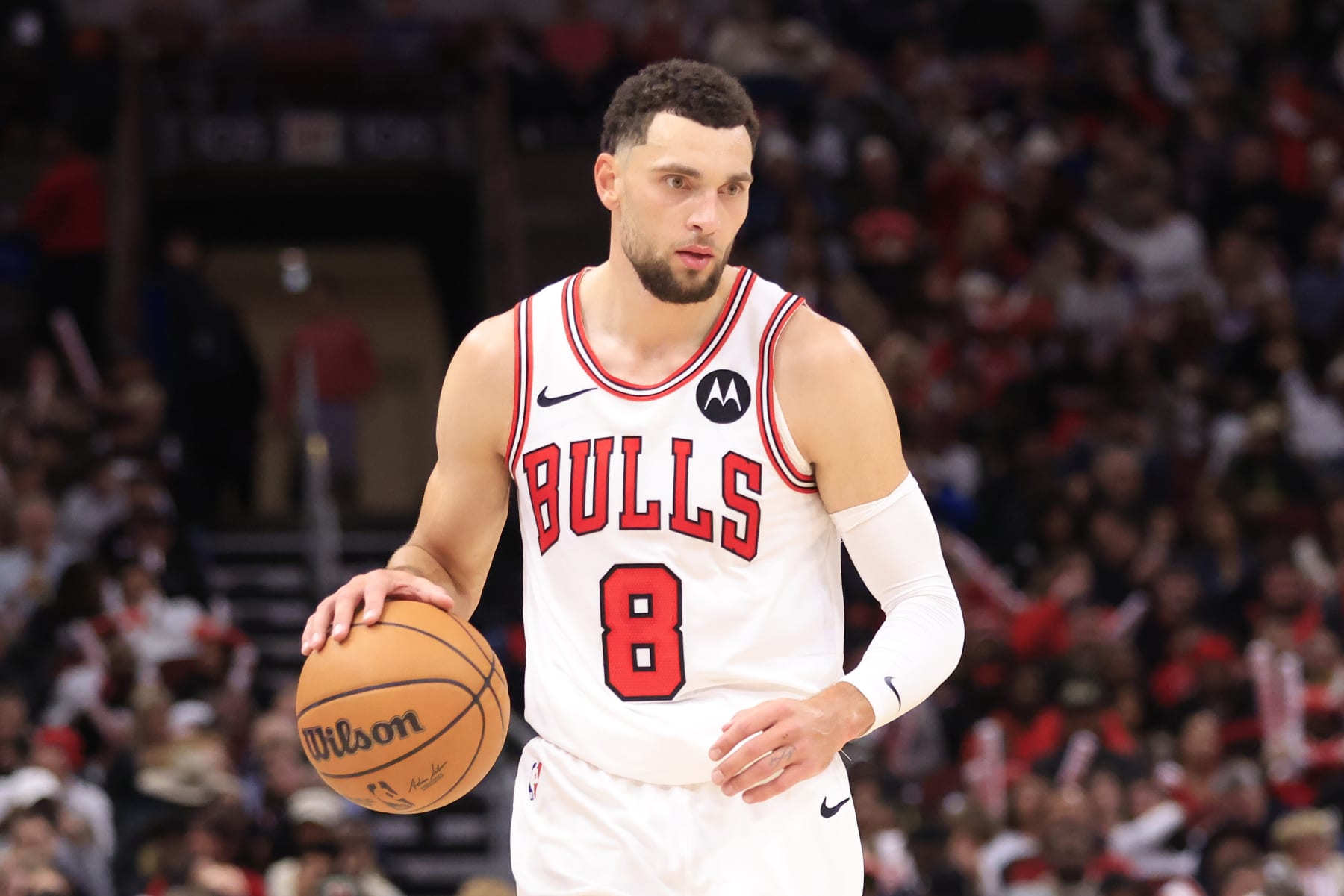 CHICAGO, ILLINOIS - NOVEMBER 20: Zach LaVine #8 of the Chicago Bulls brings the ball up the court in the game against the Miami Heat at the United Center on November 20, 2023 in Chicago, Illinois. NOTE TO USER: User expressly acknowledges and agrees that, by downloading and or using this photograph, User is consenting to the terms and conditions of the Getty Images License Agreement. (Photo by Justin Casterline/Getty Images)
