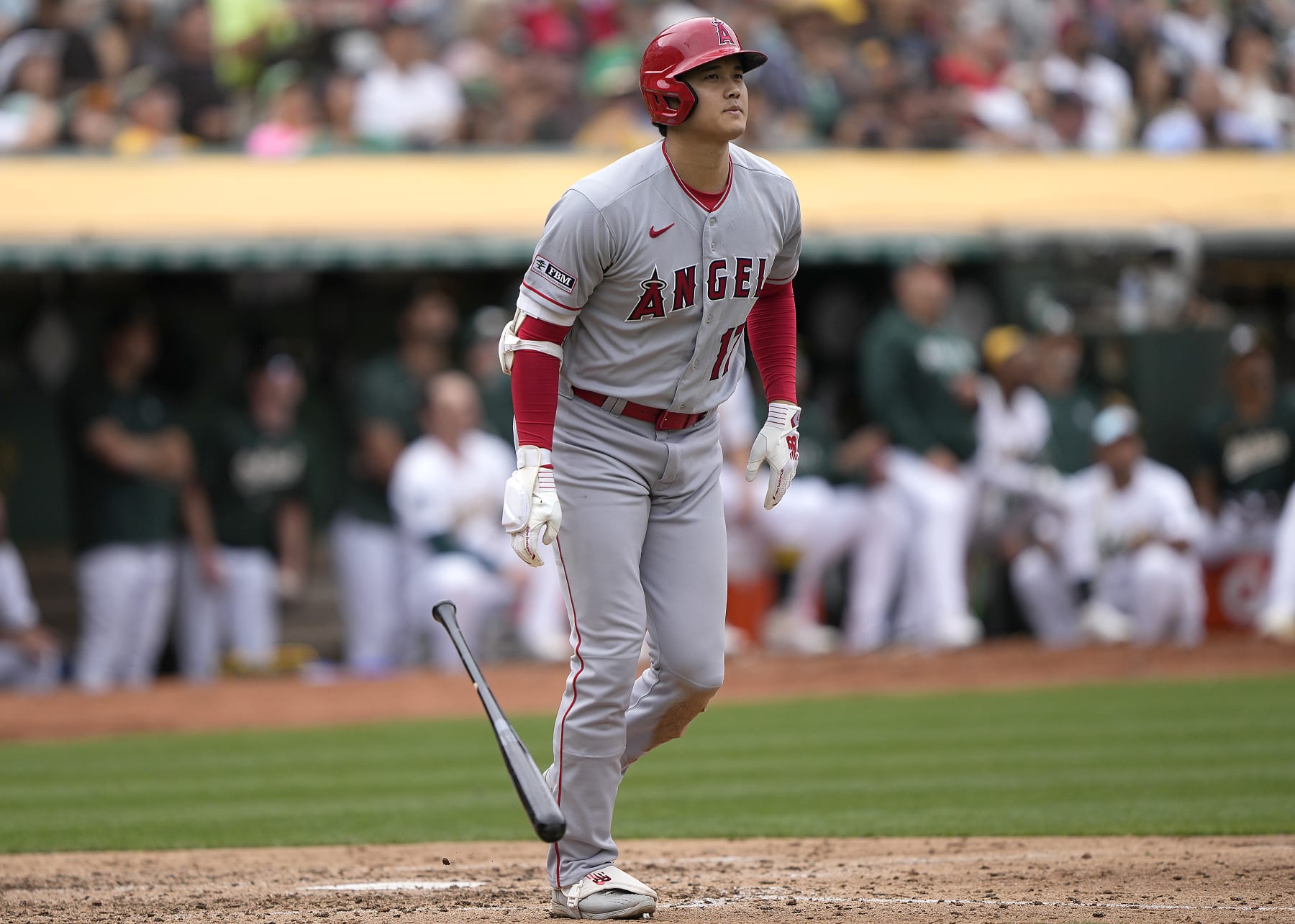 OAKLAND, CALIFORNIA - SEPTEMBER 02: Shohei Ohtani #17 of the Los Angeles Angels reacts by dropping his bat after popping out to shortstop against the Oakland Athletics in the top of the seventh inning at RingCentral Coliseum on September 02, 2023 in Oakland, California. (Photo by Thearon W. Henderson/Getty Images)