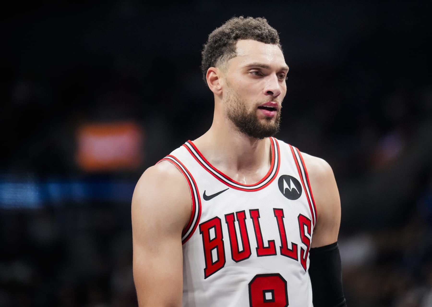 TORONTO, ON - NOVEMBER 24: Zach LaVine #8 of the Chicago Bulls looks on against the Toronto Raptors during the first half of their NBA In-Season Tournament game at the Scotiabank Arena on November 24, 2023 in Toronto, Ontario, Canada. NOTE TO USER: User expressly acknowledges and agrees that, by downloading and/or using this Photograph, user is consenting to the terms and conditions of the Getty Images License Agreement. (Photo by Mark Blinch/Getty Images)