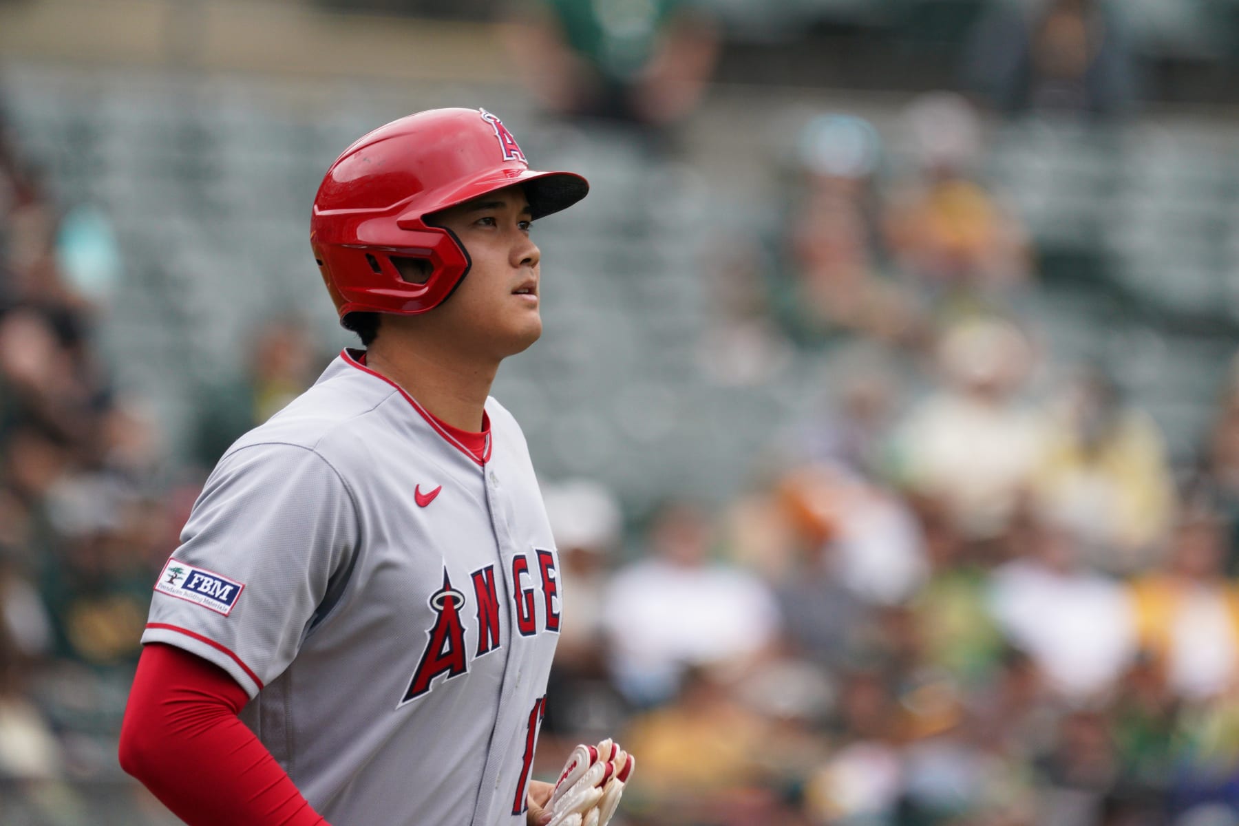 OAKLAND, CA - SEPTEMBER 02: Shohei Ohtani #17 of the Los Angeles Angels looks on during the game between the Los Angeles Angels and the Oakland Athletics at RingCentral Coliseum on Saturday, September 2, 2023 in Oakland, California. (Photo by Loren Elliott/MLB Photos via Getty Images)