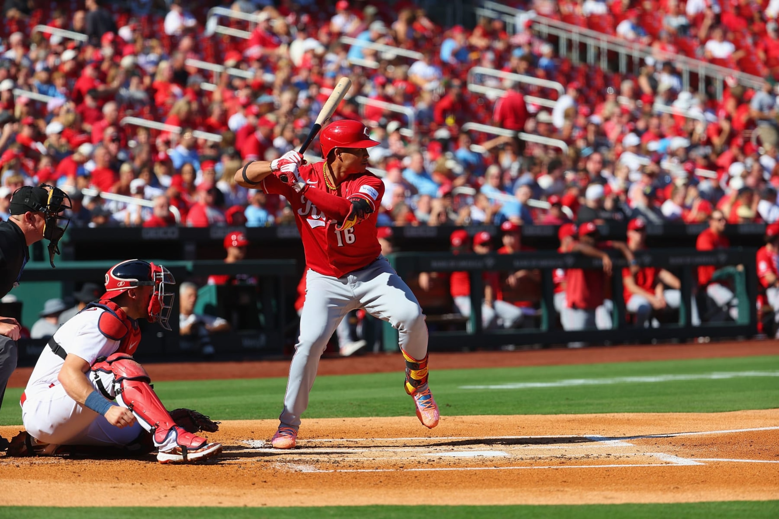 Reds top prospect Noelvi Marte Reds top prospect Noelvi Marte