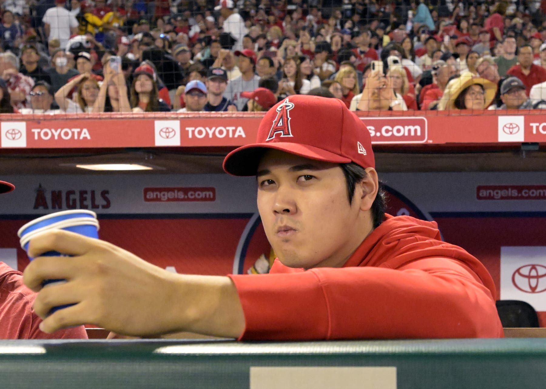 ANAHEIM, CALIFORNIA - SEPTEMBER 16: Shohei Ohtani sits on the bench in the fourth inning during a game against the Detroit Tigers at Angel Stadium of Anaheim on September 16, 2023 in Anaheim, California. (Photo by John McCoy/Getty Images)