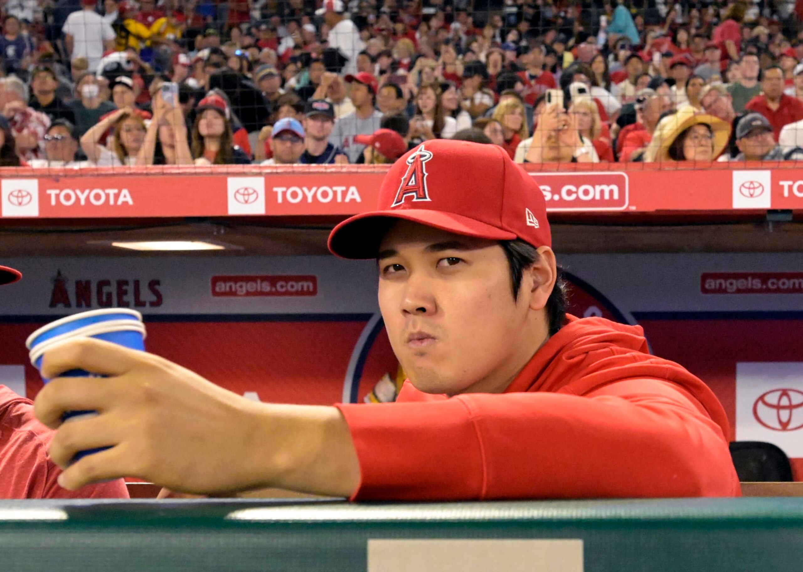 ANAHEIM, CALIFORNIA - SEPTEMBER 16: Shohei Ohtani sits on the bench in the fourth inning during a game against the Detroit Tigers at Angel Stadium of Anaheim on September 16, 2023 in Anaheim, California. (Photo by John McCoy/Getty Images)