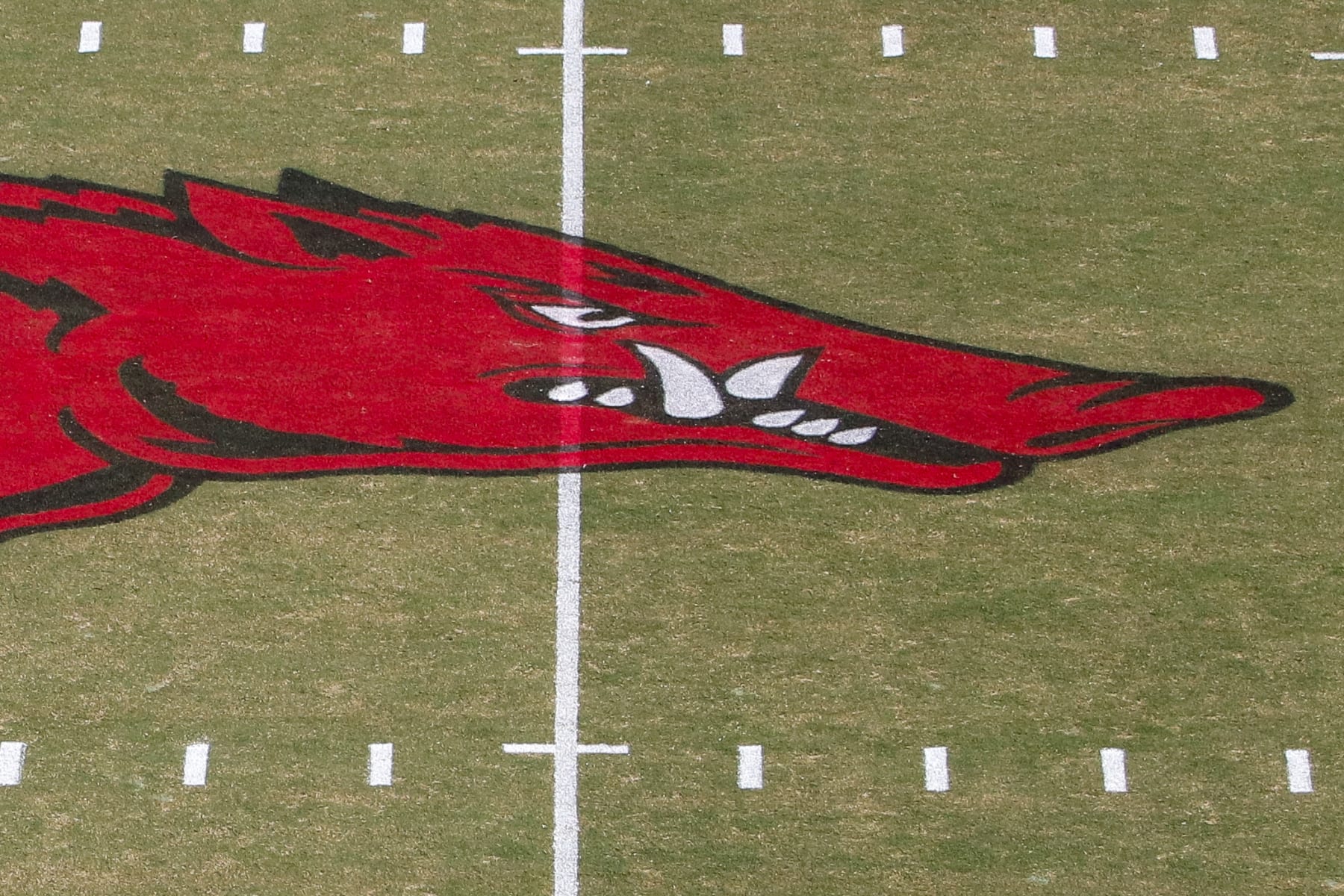 FAYETTEVILLE, AR - SEPTEMBER 17: The Arkansas Razorbacks logo before the college football game between the Missouri State Bears and Arkansas Razorbacks on September 17, 2022, at Donald W. Reynolds Razorback Stadium in Fayetteville, Arkansas. (Photo by Andy Altenburger/Icon Sportswire via Getty Images)