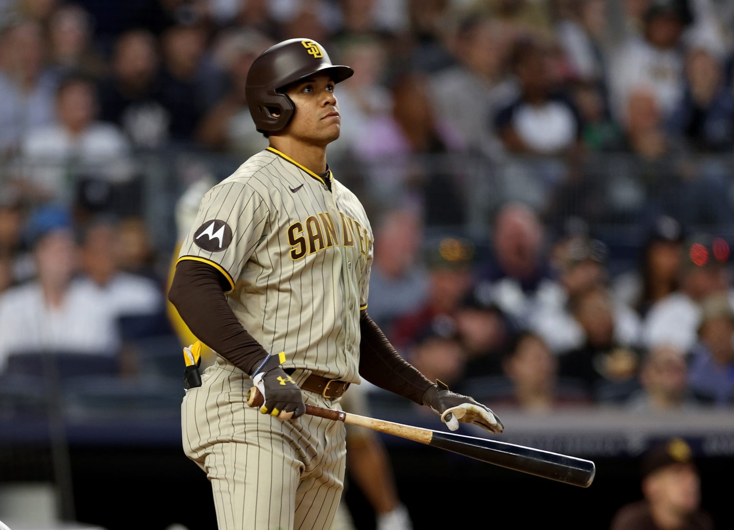 Juan Soto