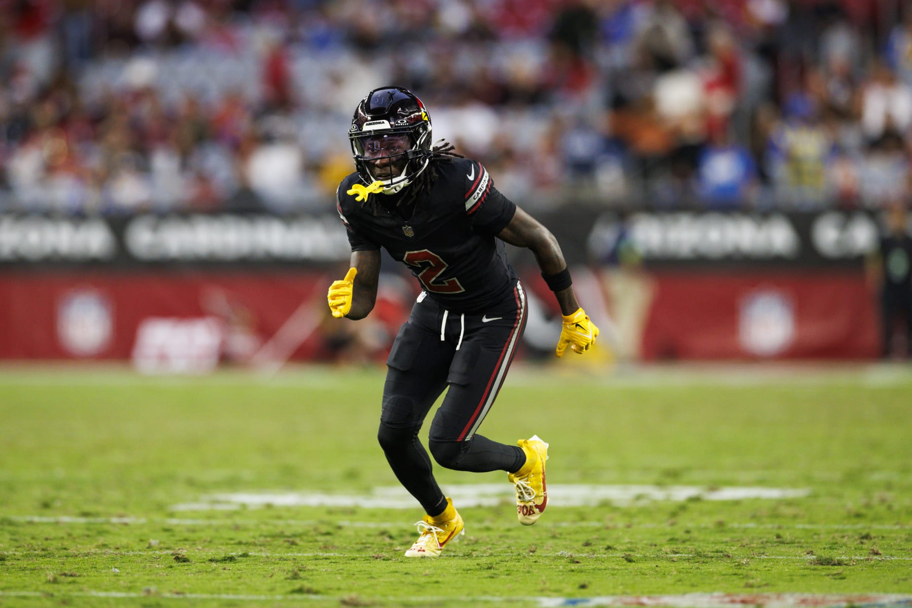 GLENDALE, ARIZONA - NOVEMBER 26: Marquise Brown #2 of the Arizona Cardinals runs a route during a game against the Los Angeles Rams at State Farm Stadium on November 26, 2023 in Glendale, Arizona. (Photo by Ric Tapia/Getty Images)