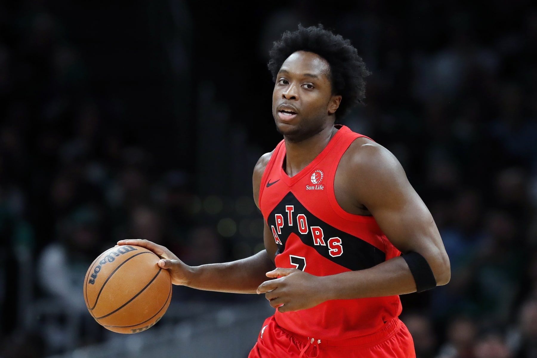 Toronto Raptors' O.G. Anunoby plays against the Boston Celtics during the first half of an NBA basketball game, Saturday, Nov. 11, 2023, in Boston. (AP Photo/Michael Dwyer)